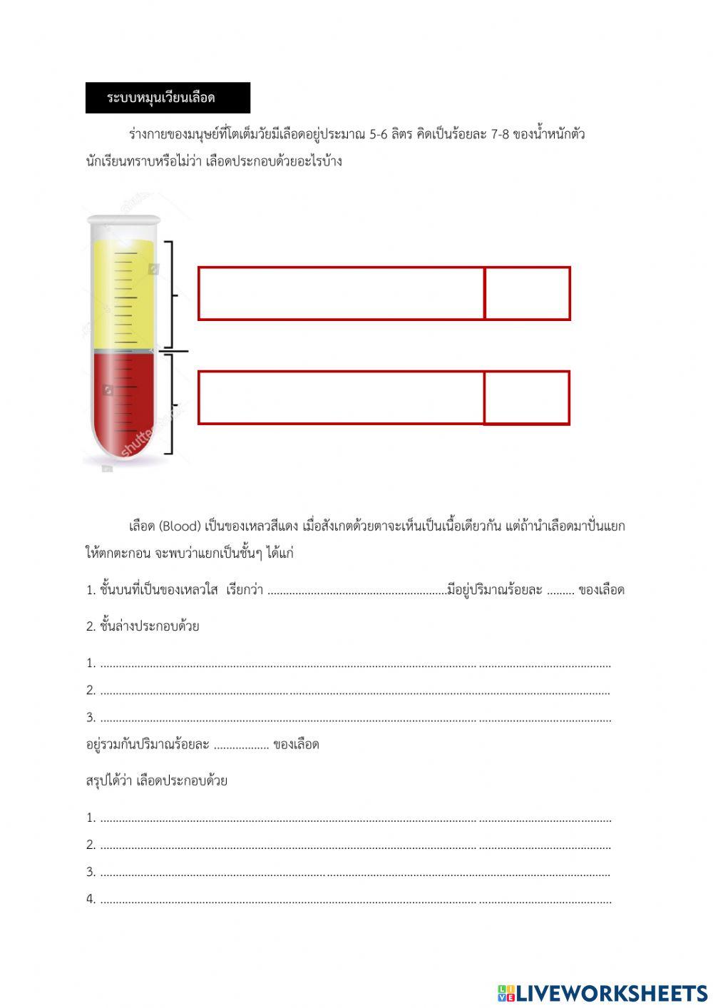 ส่วนประกอบของเลือด