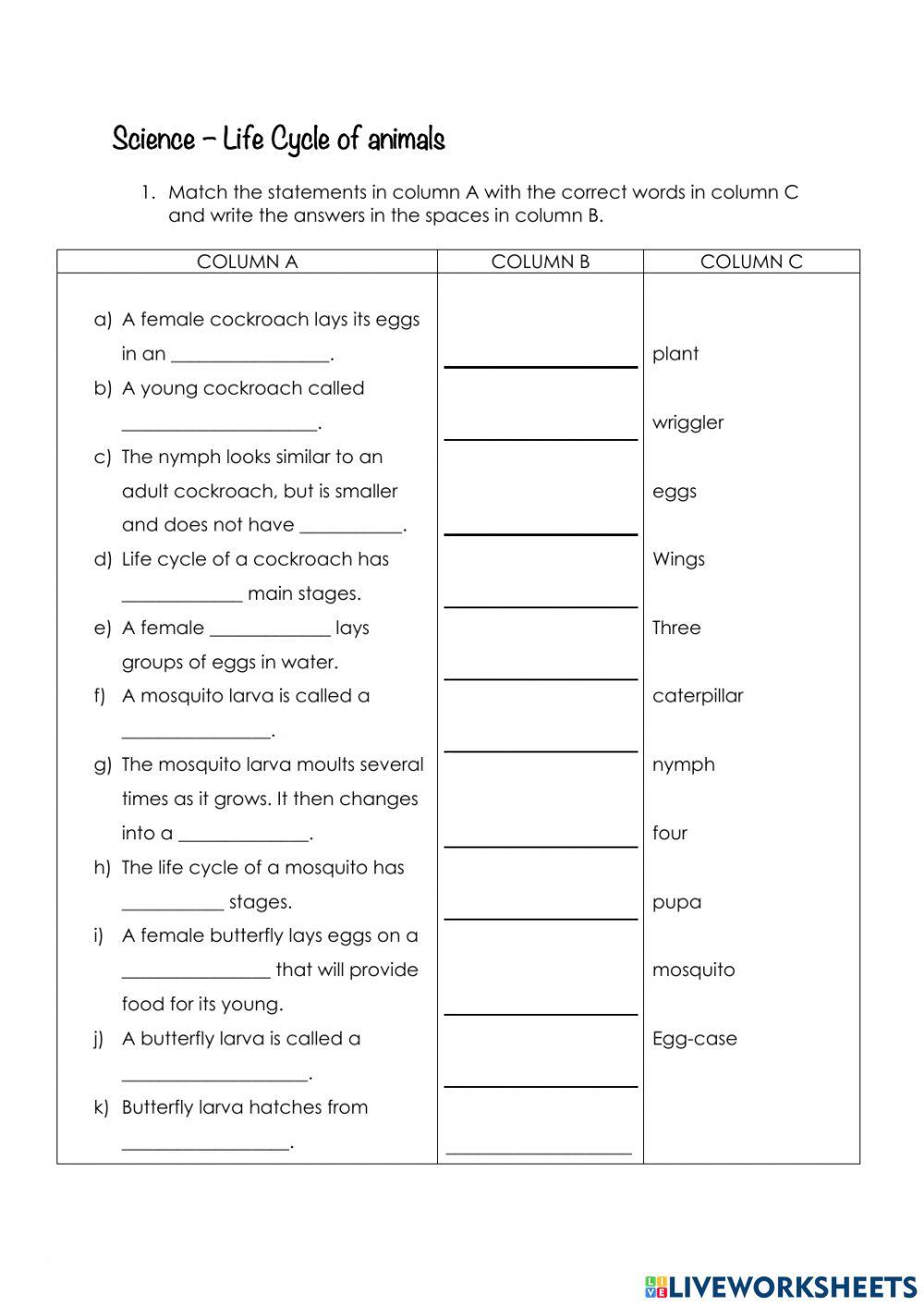 Life cycle of insects