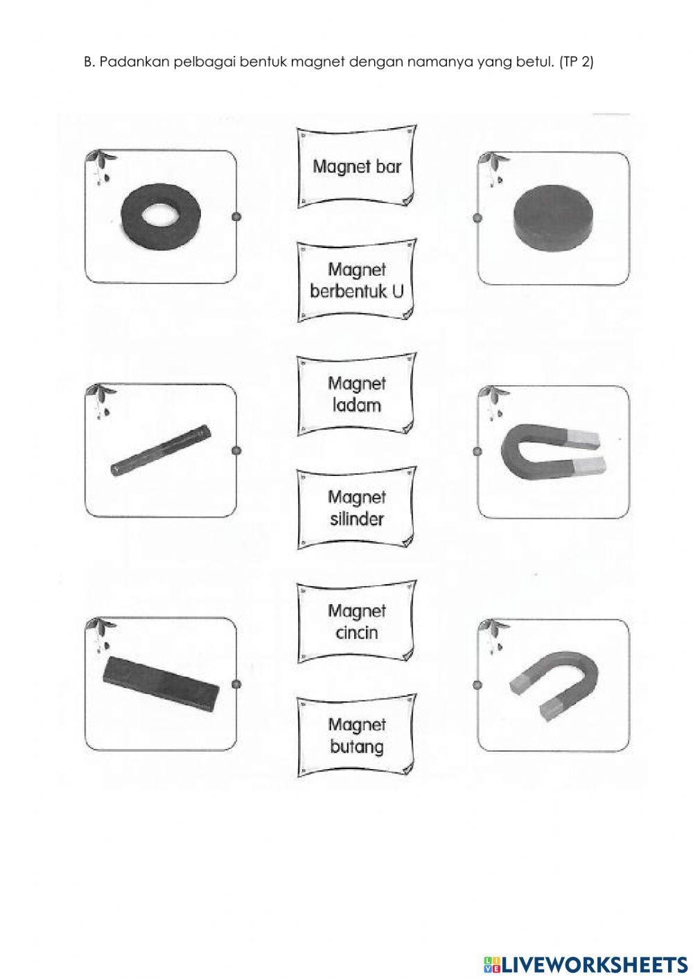 Kegunaan dan jenis magnet