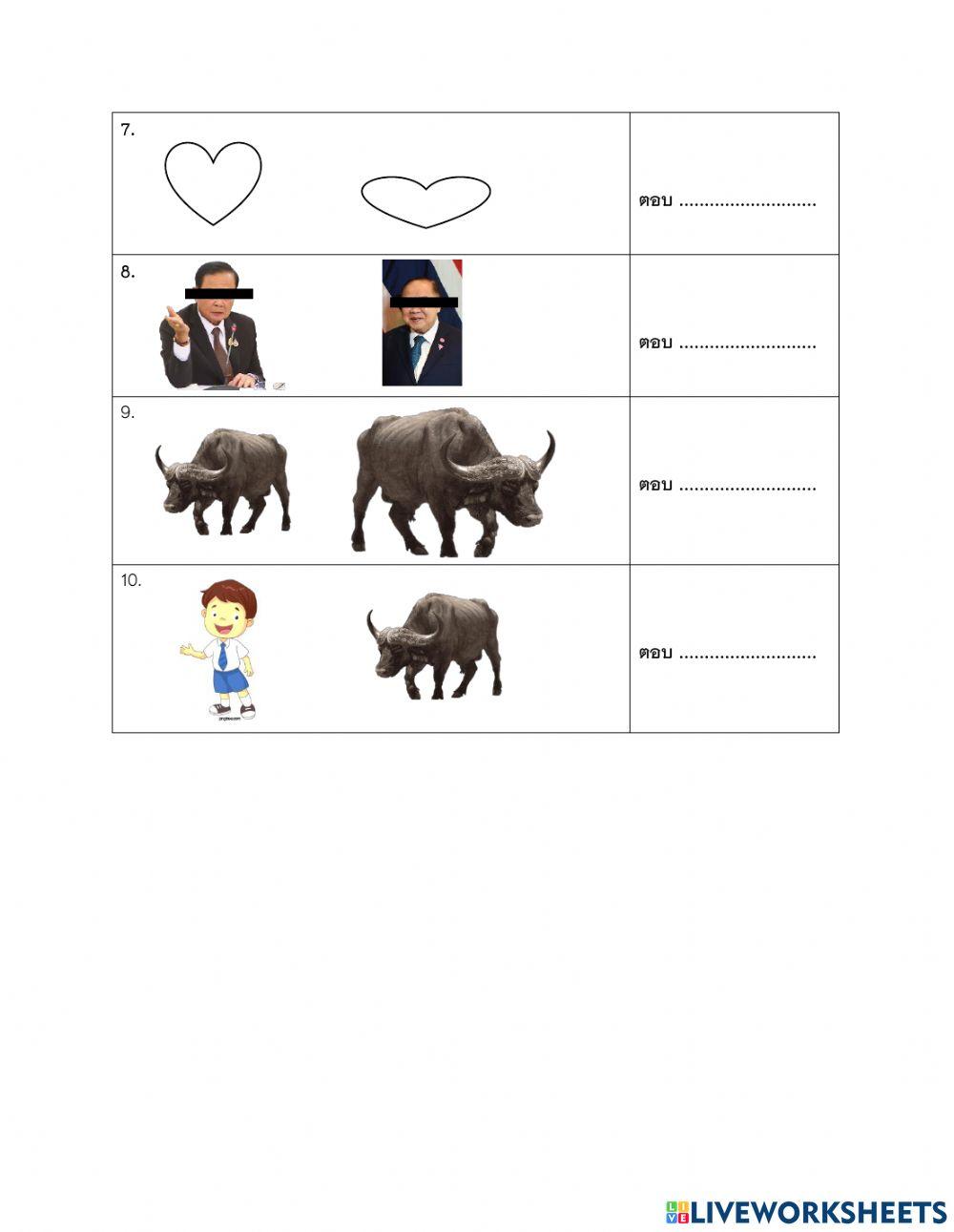 ใบงานที่ 1 รูปเรขาคณิตที่คล้ายกัน