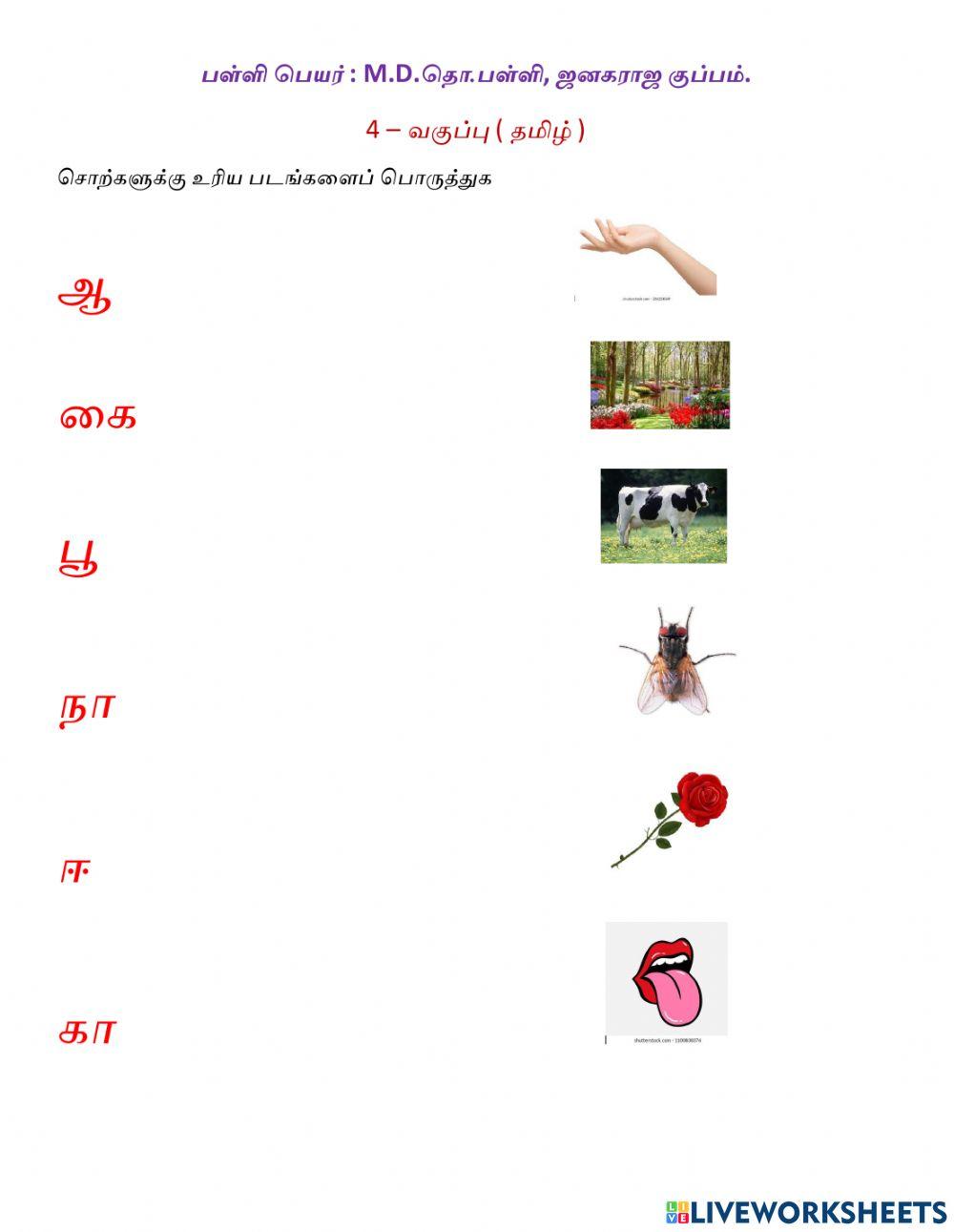 தமிழ் ஓரெழுத்து சொற்கள்