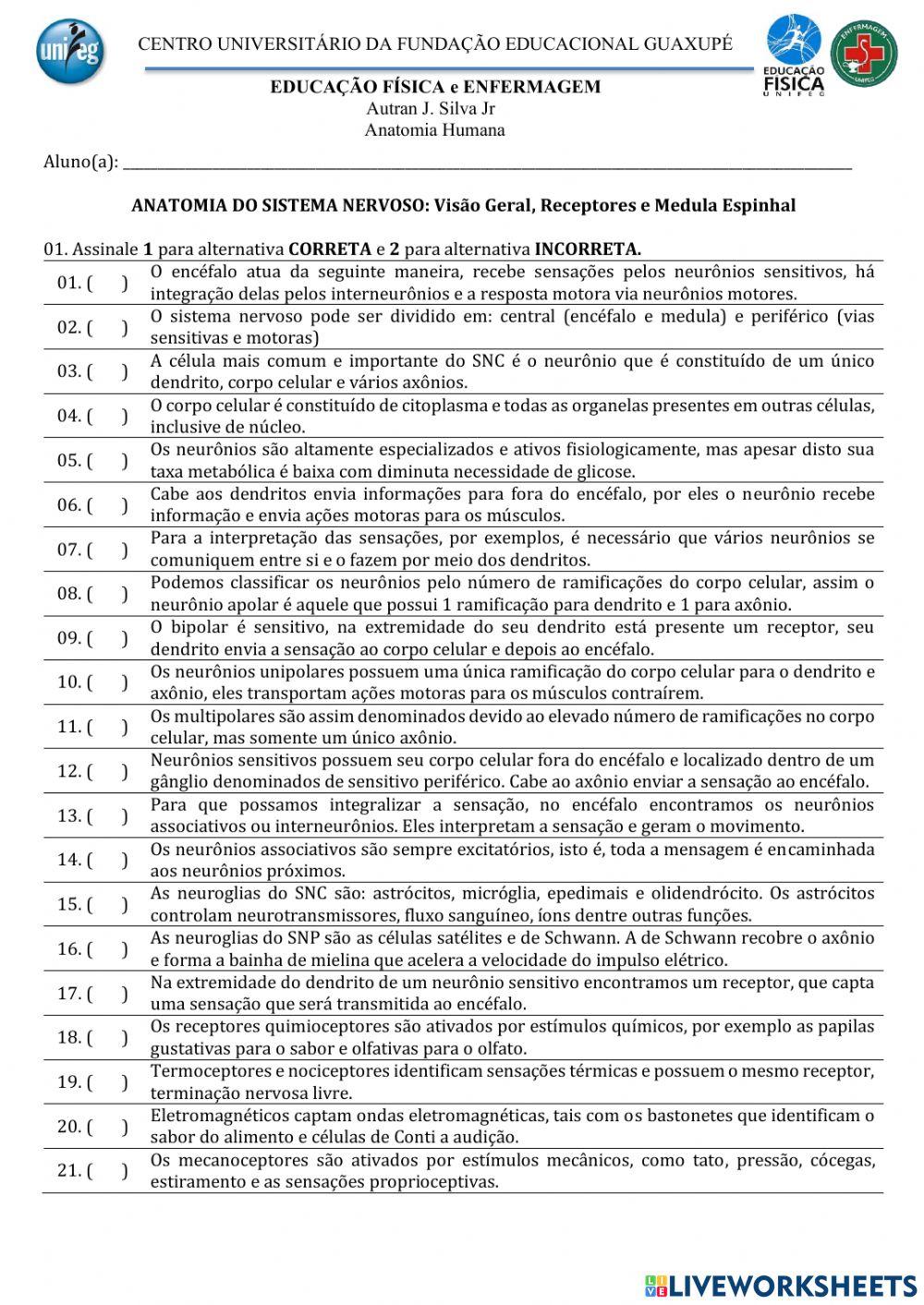 Neuroanatomia: visão geral, receptores e medula espinhal