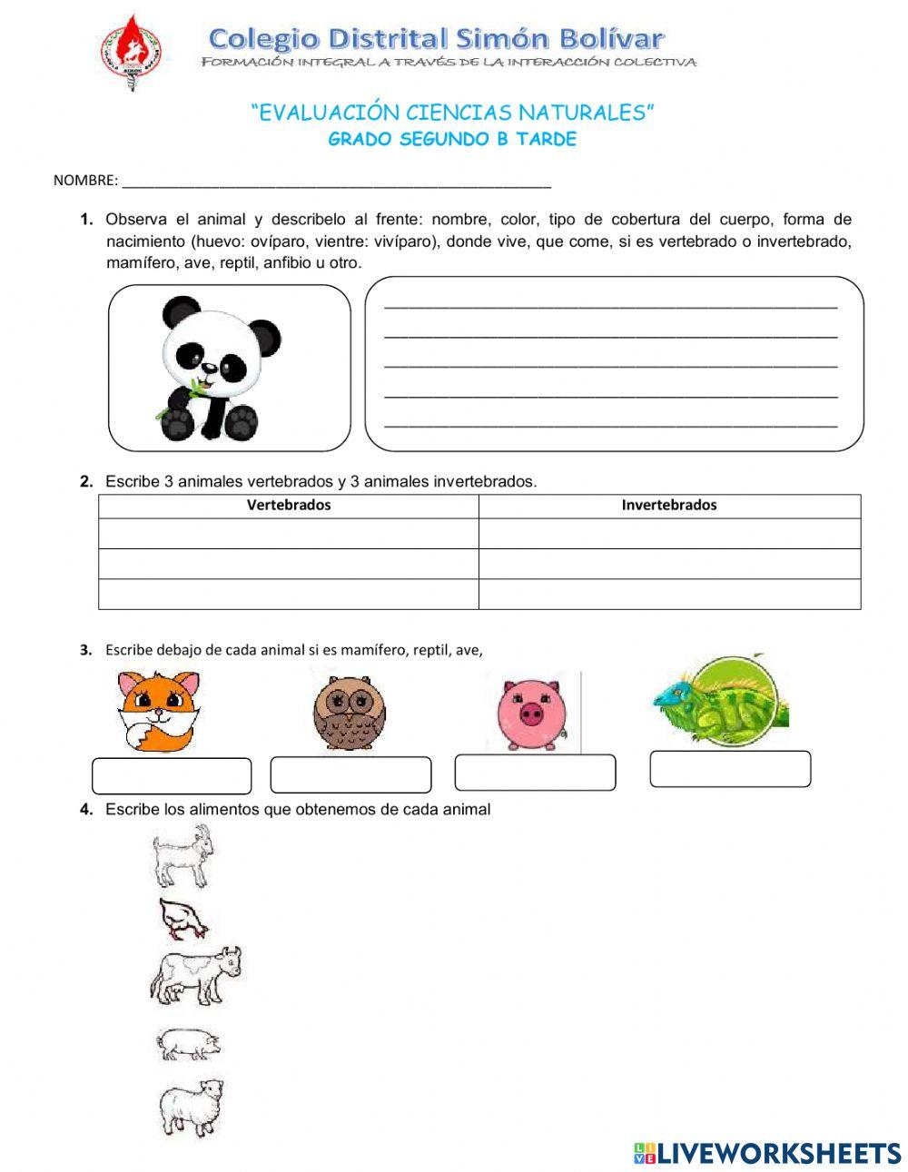 Animales y el cuerpo humano