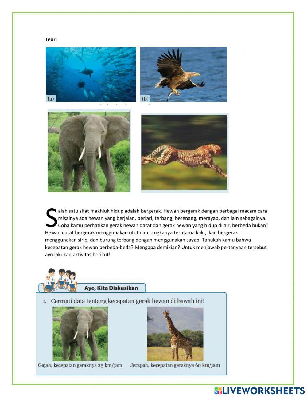 Gerak Pada Hewan dan tumbuhan