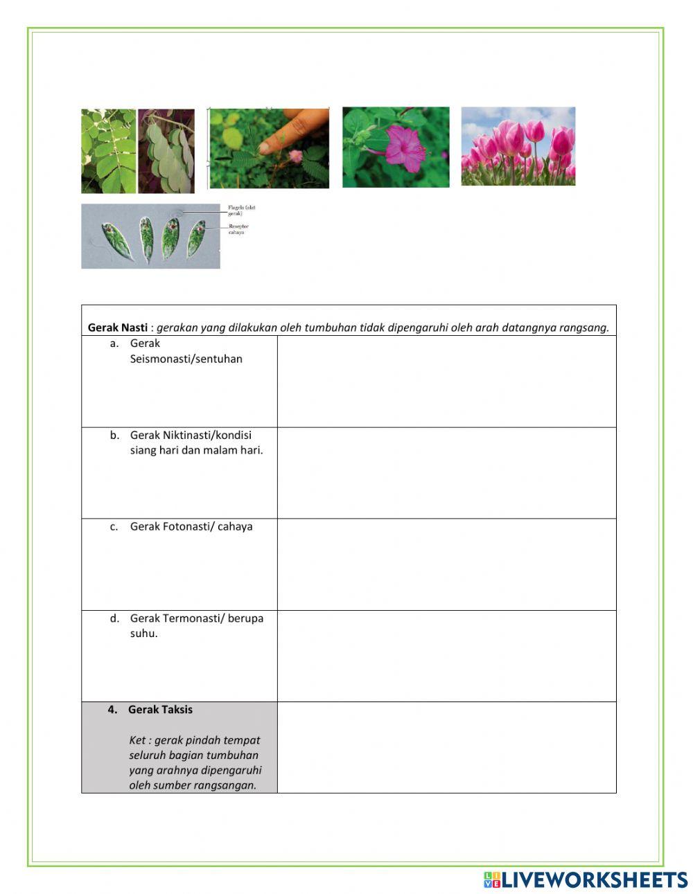 Gerak Pada Hewan dan tumbuhan