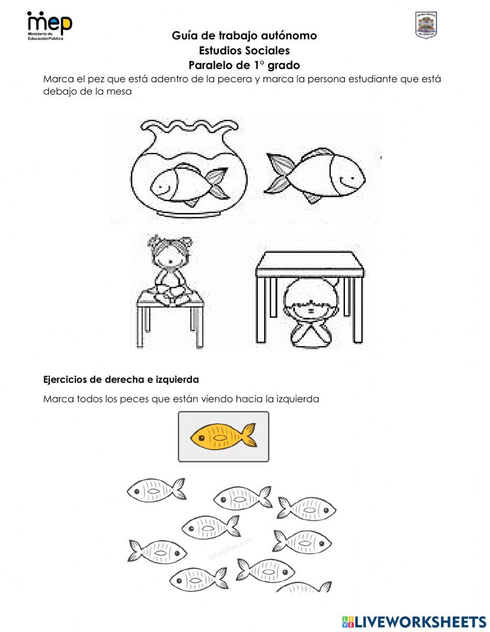 GTA -1 Agosto Estudios Sociales