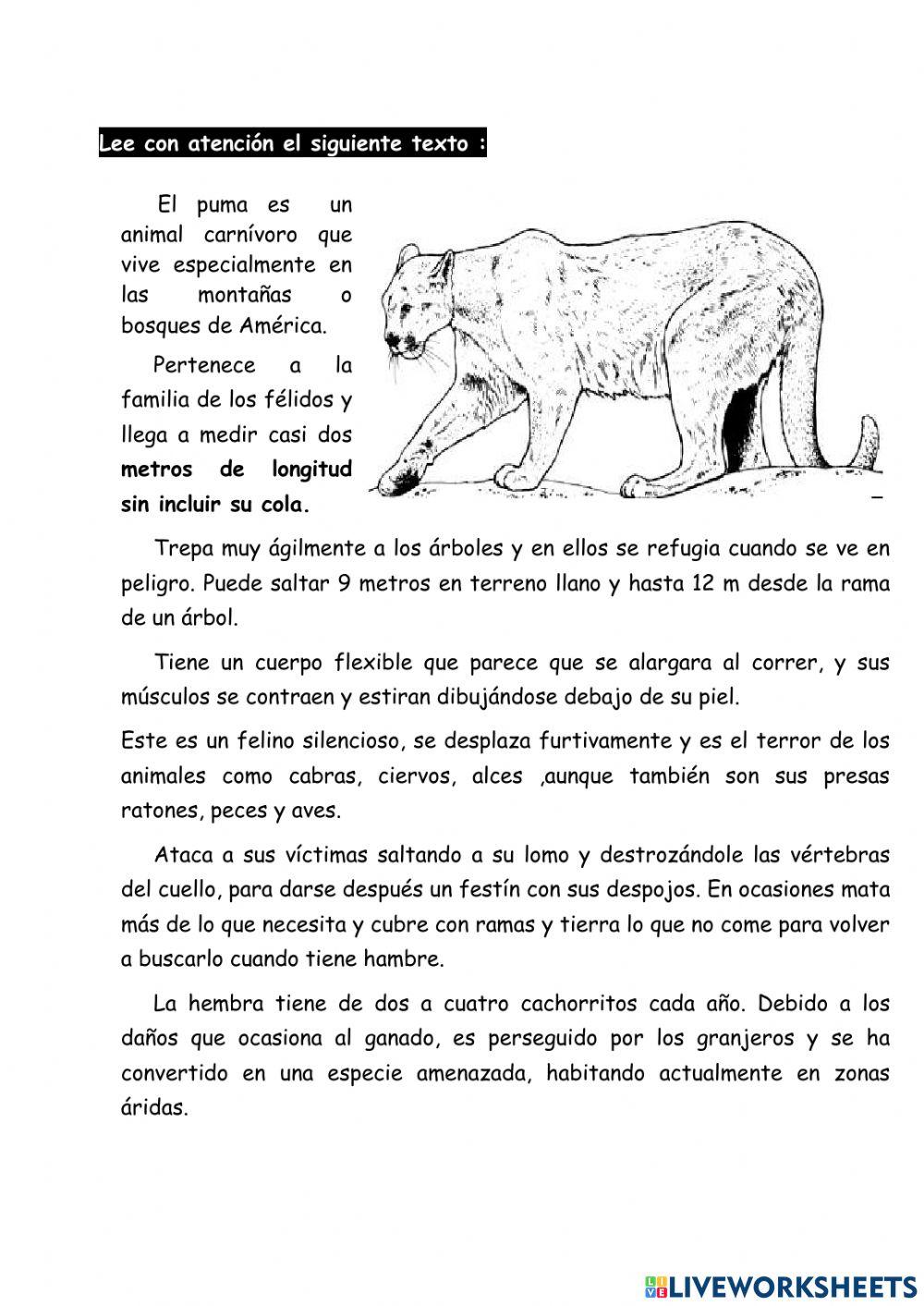 Leemos una descripción del puma worksheet | Live Worksheets