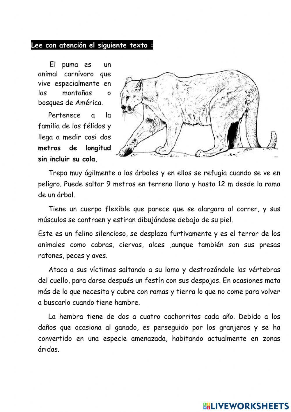 Leemos una descripción del puma
