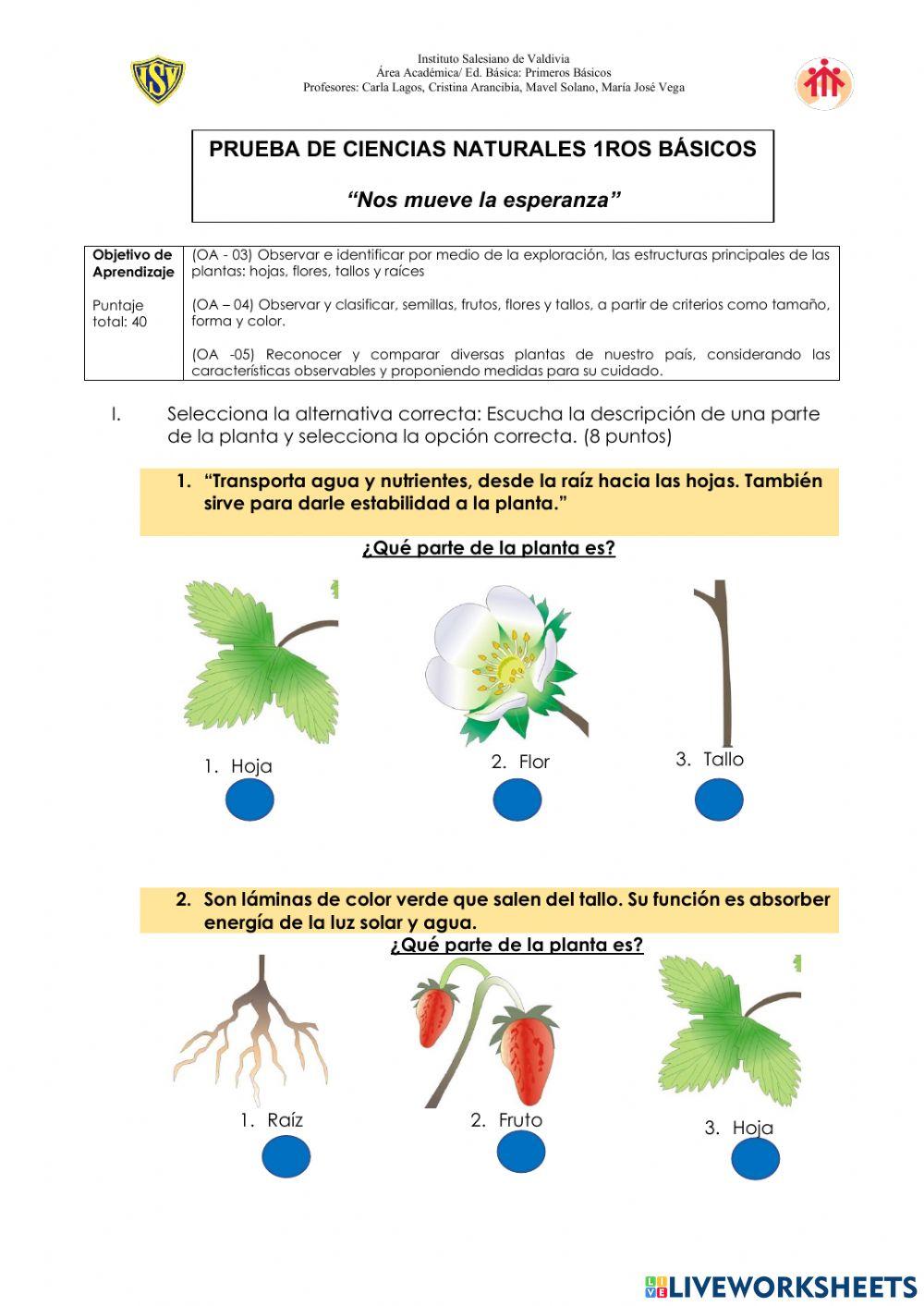 Evaluación Ciencias Naturales - Primeros básicos