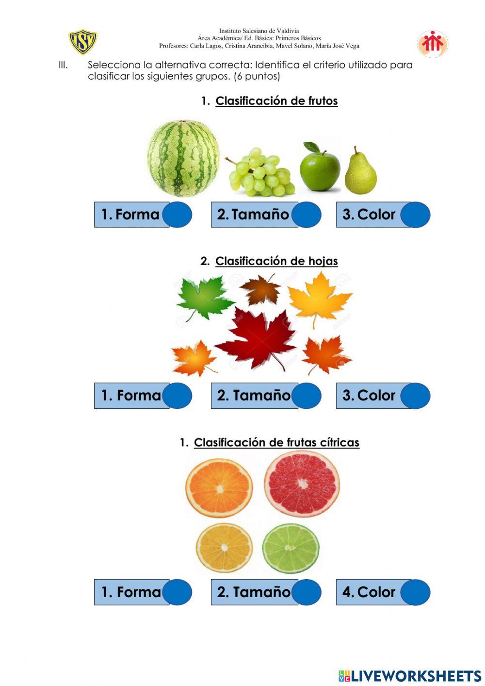 Evaluación Ciencias Naturales - Primeros básicos