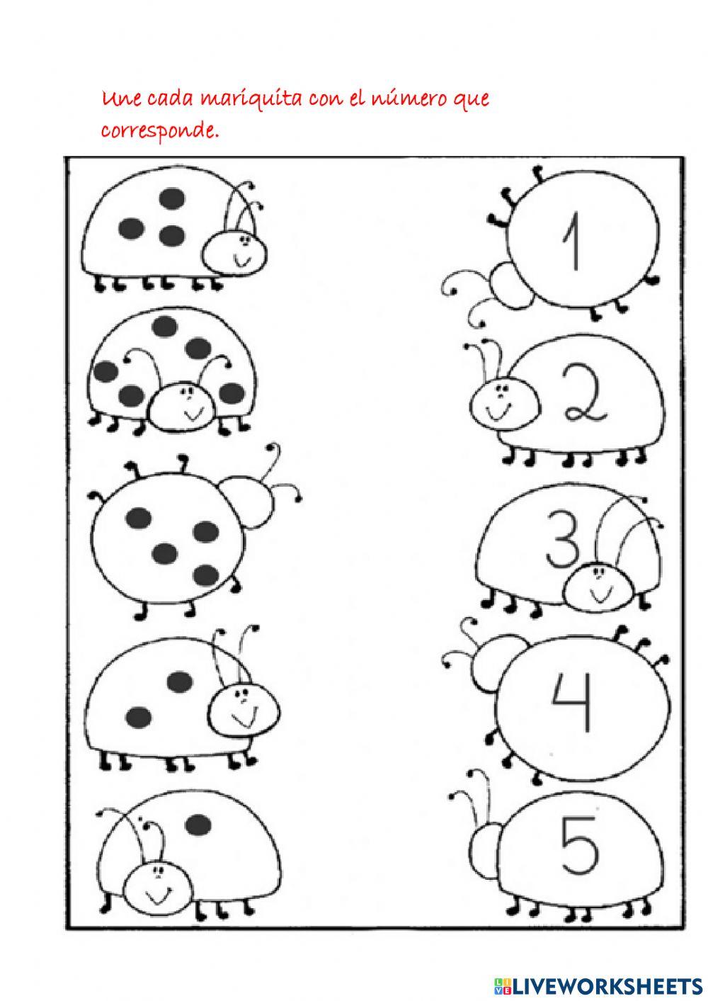 Relación número cantidad 1 -5