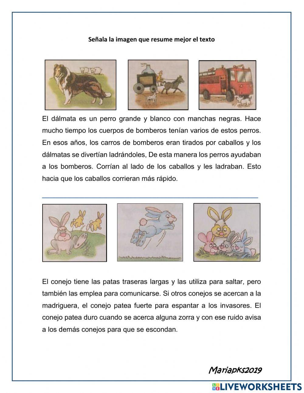 Lectura comprensiva.idea principal