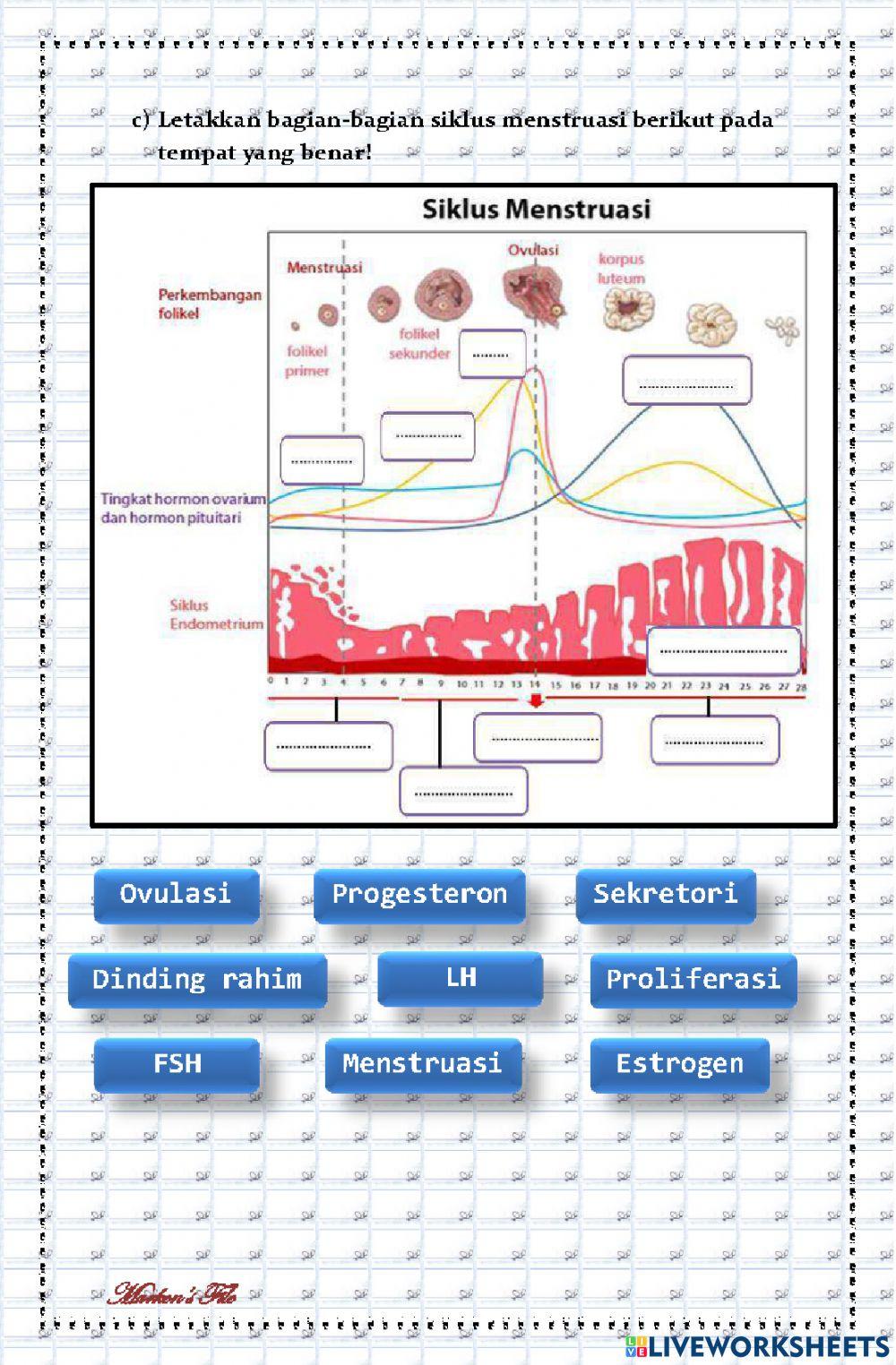 Tes Sistem Reproduksi Manusia (Sistem Reproduksi pada Wanita, Oogenesis, dan Siklus Menstruasi)
