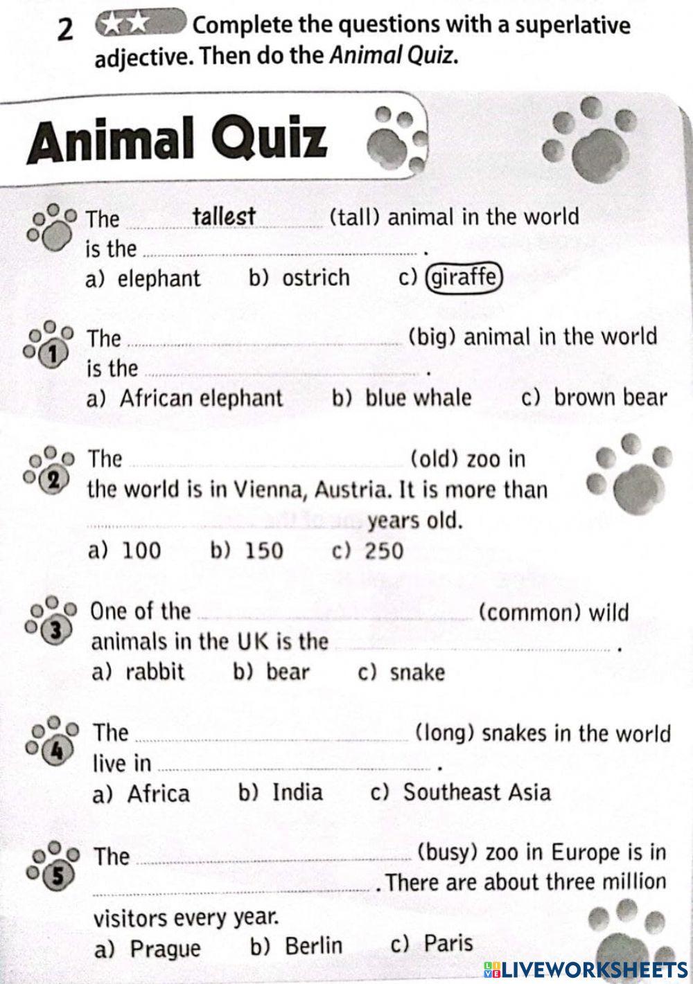 Animal Quiz