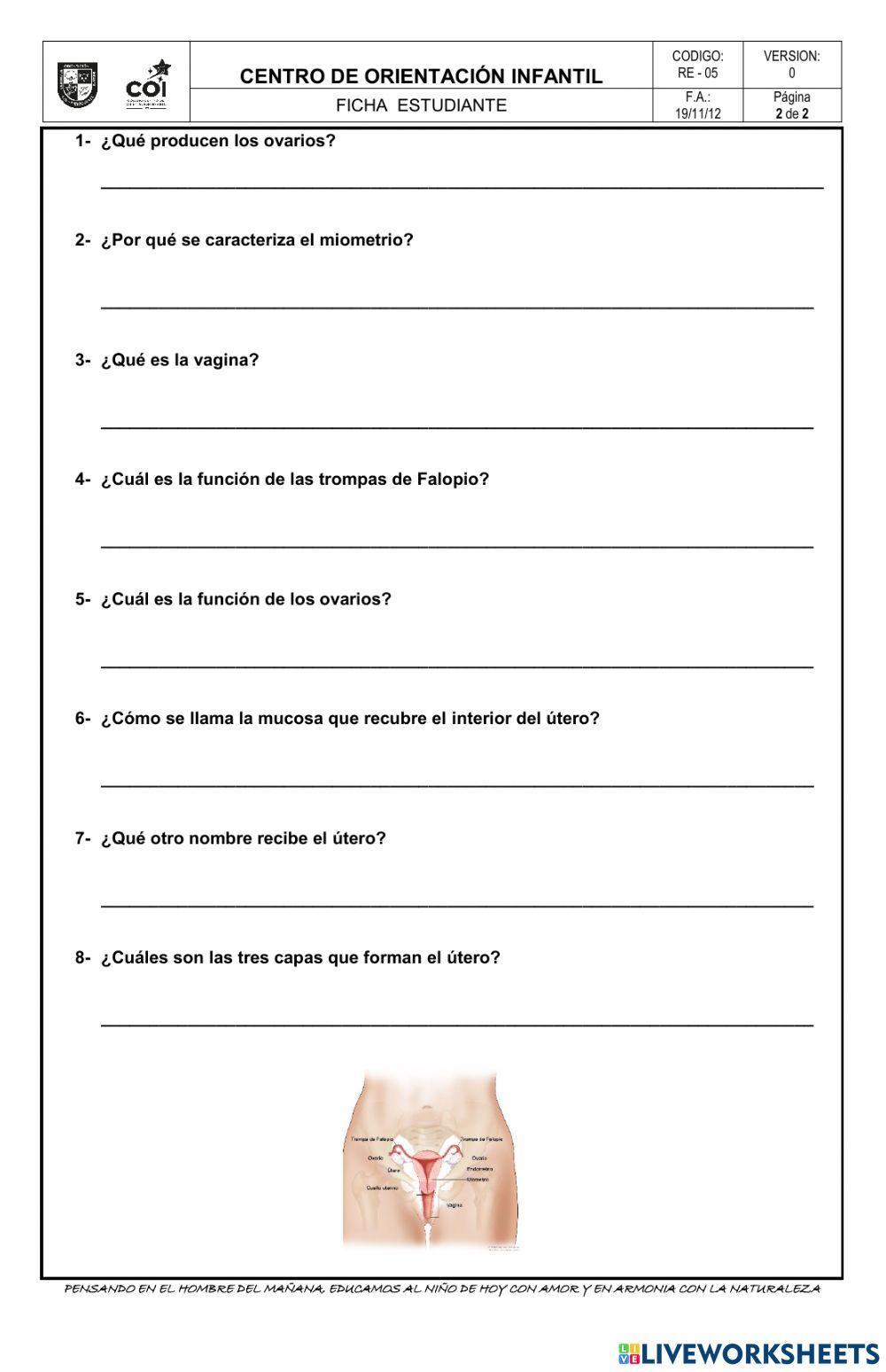 Sistema reproductor femenino