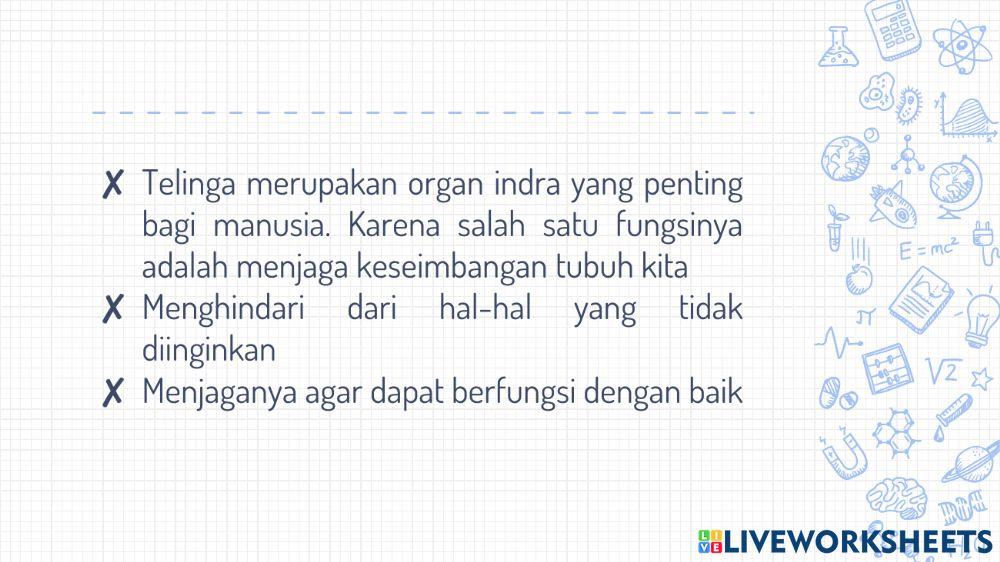 Materi Tema 4 Subtema 2 - Telinga Bag. 1