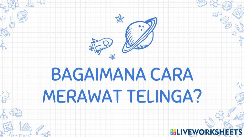 Materi Tema 4 Subtema 2 - Telinga Bag. 1