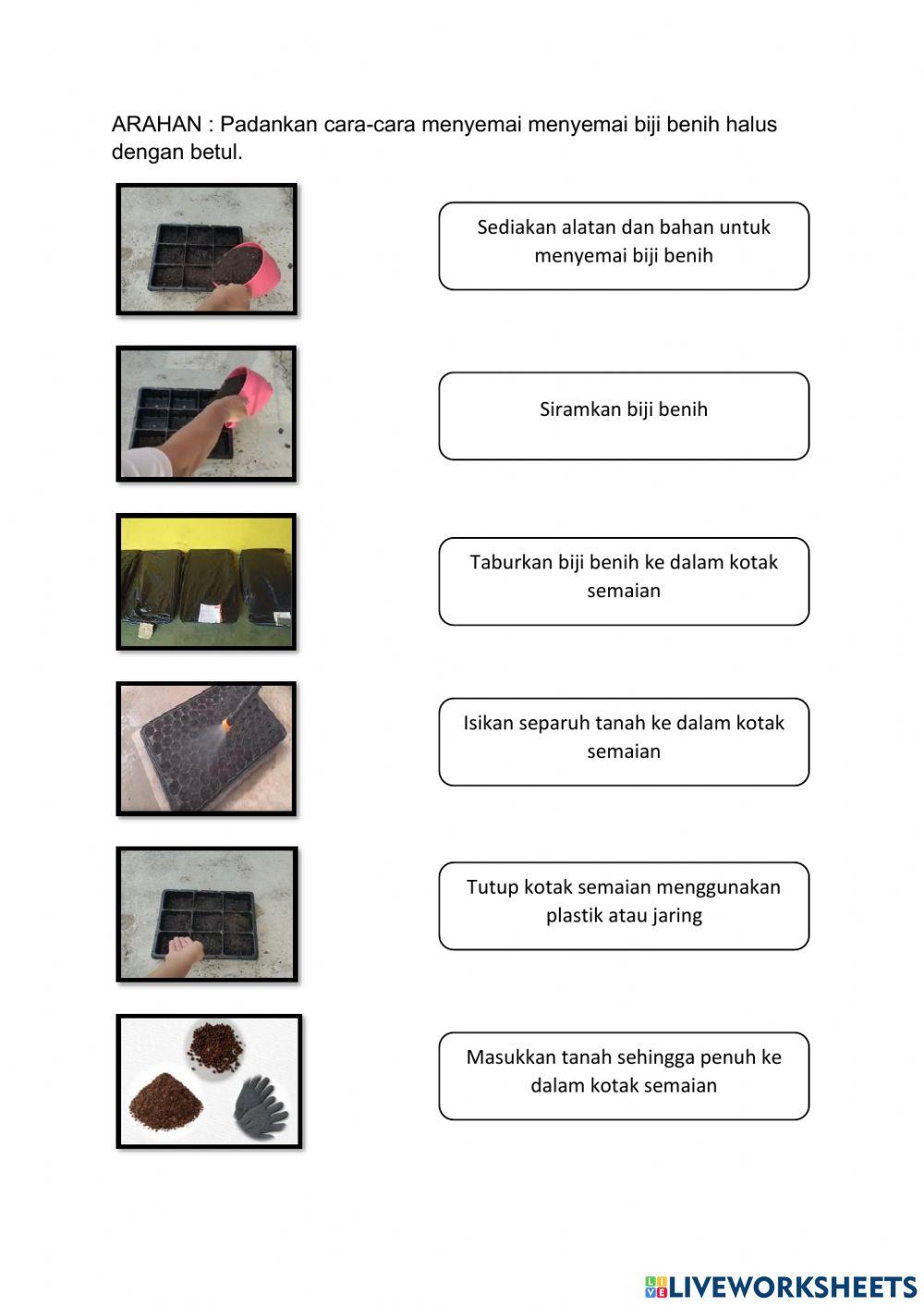 Cara-cara menyemai biji benih halus