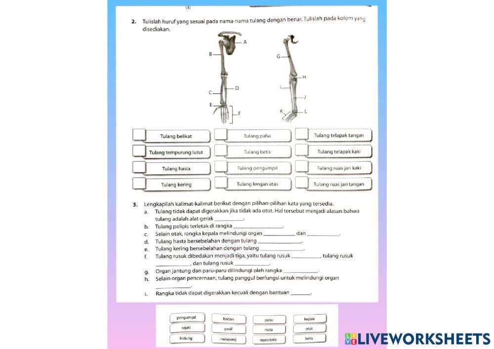 Latihan tematik tema 1 subtema 2