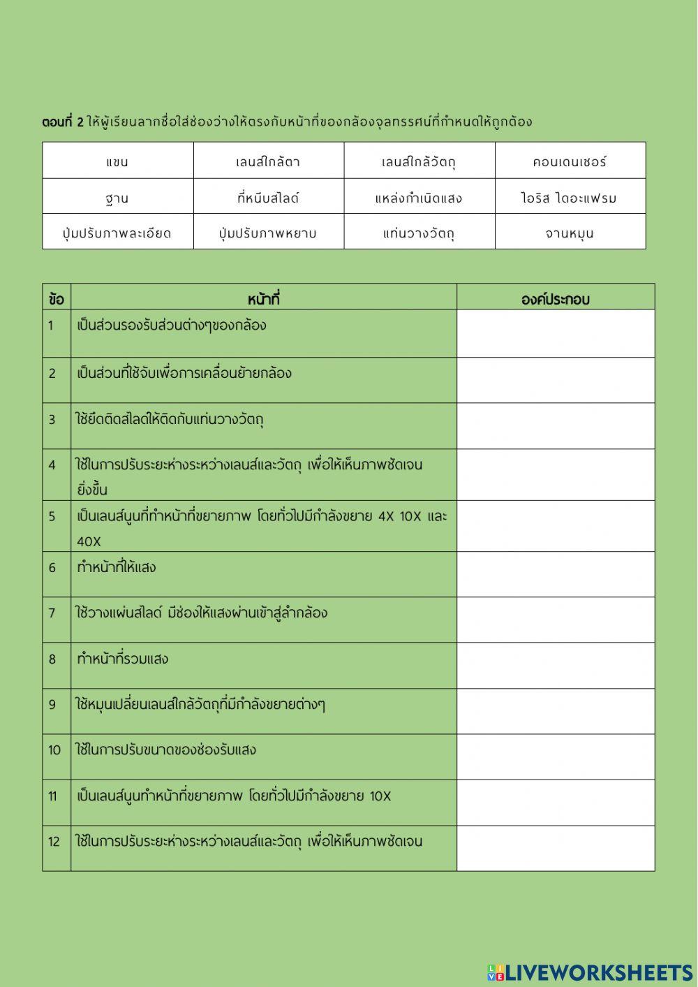 กล้องจุลทรรศน์