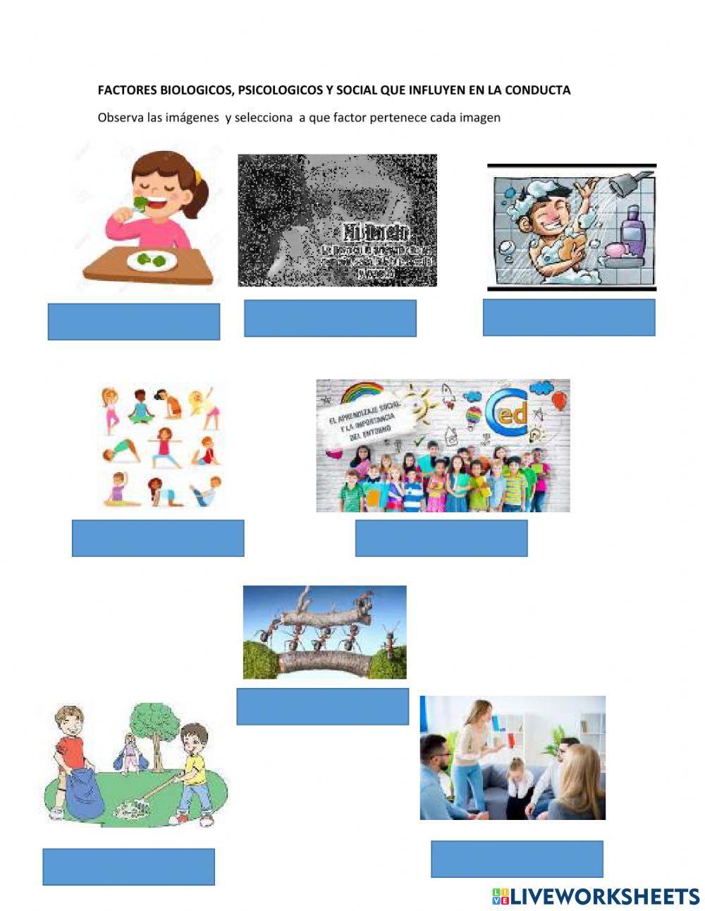 Ser bio-psico-social