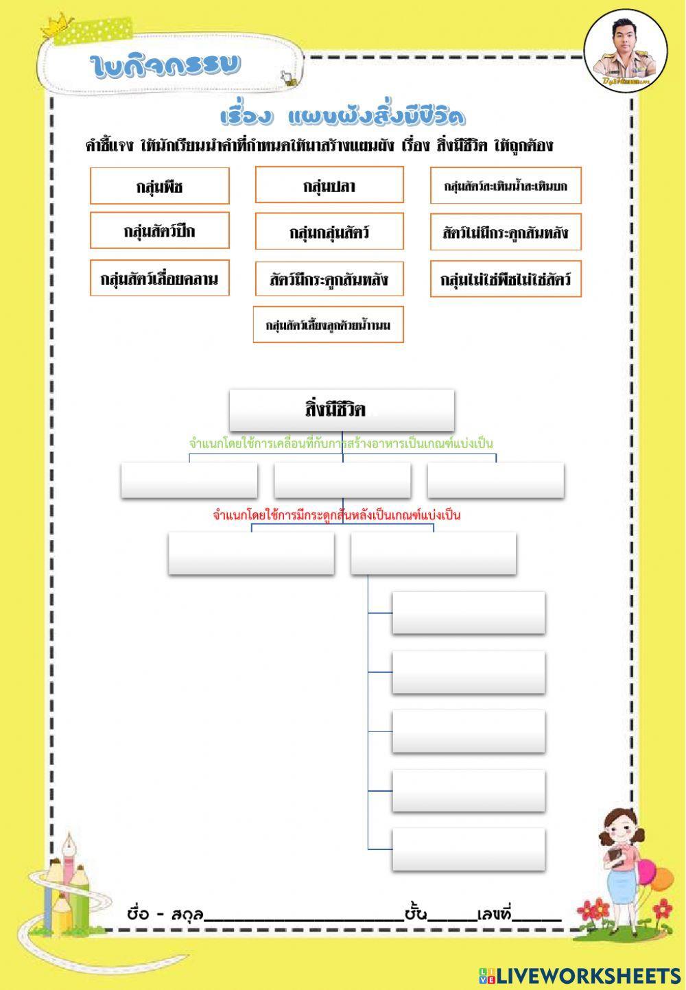 แผนผังการจำแนกสิ่งมีชีวิต