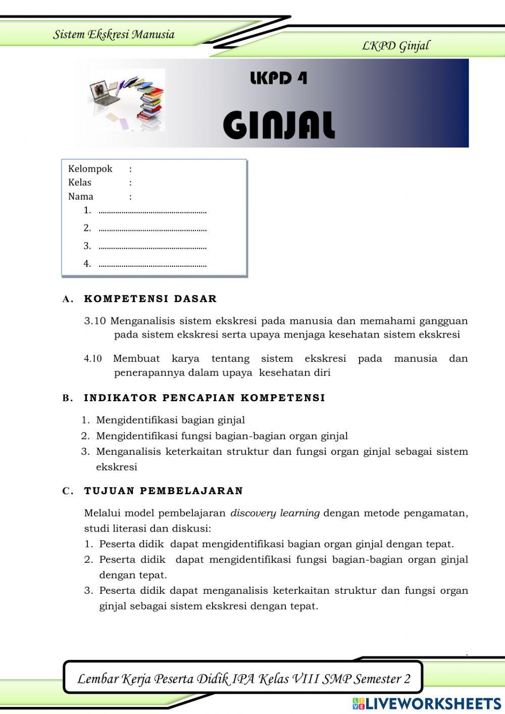 Sistem Ekskresi Ginjal