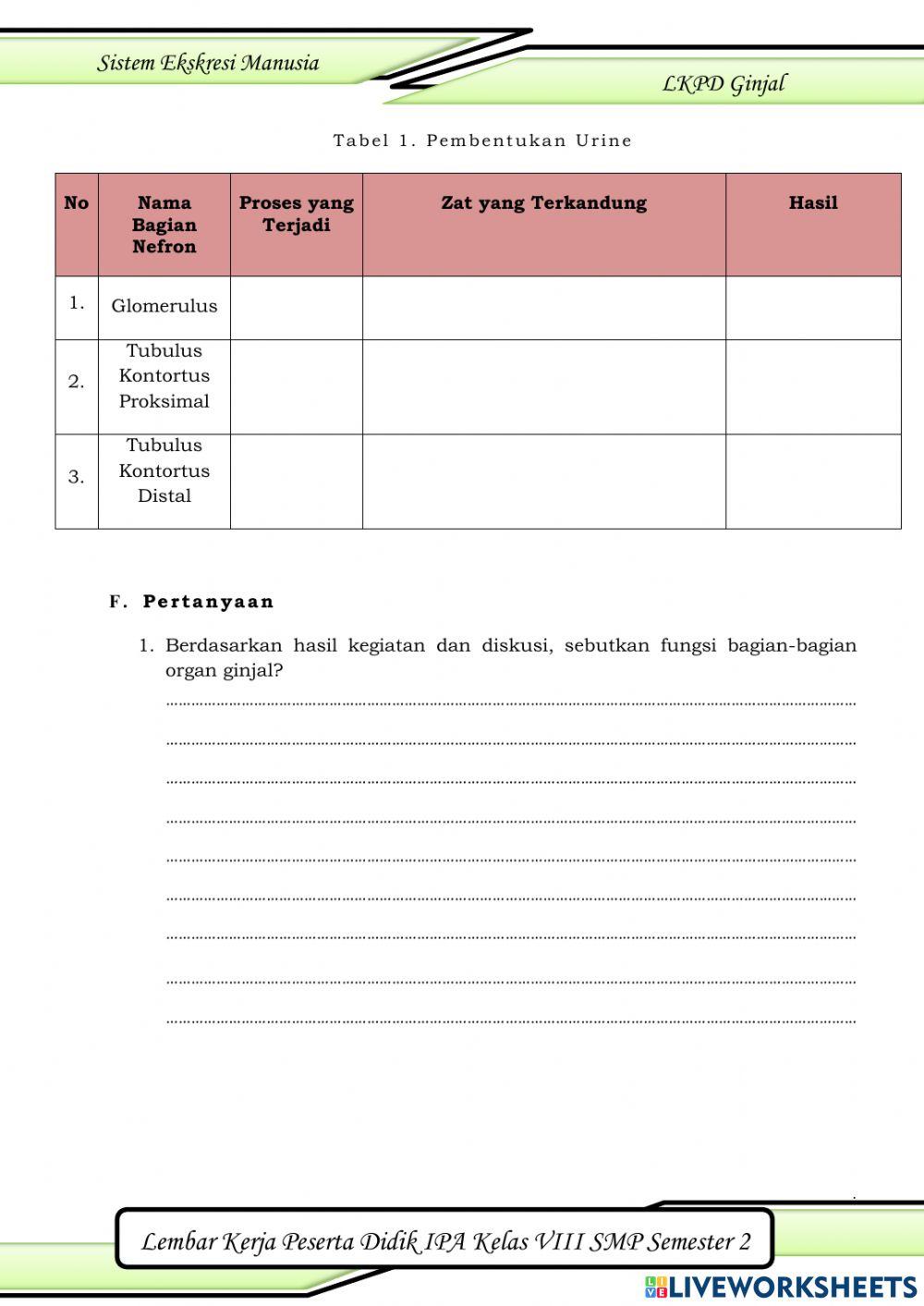 Sistem Ekskresi Ginjal
