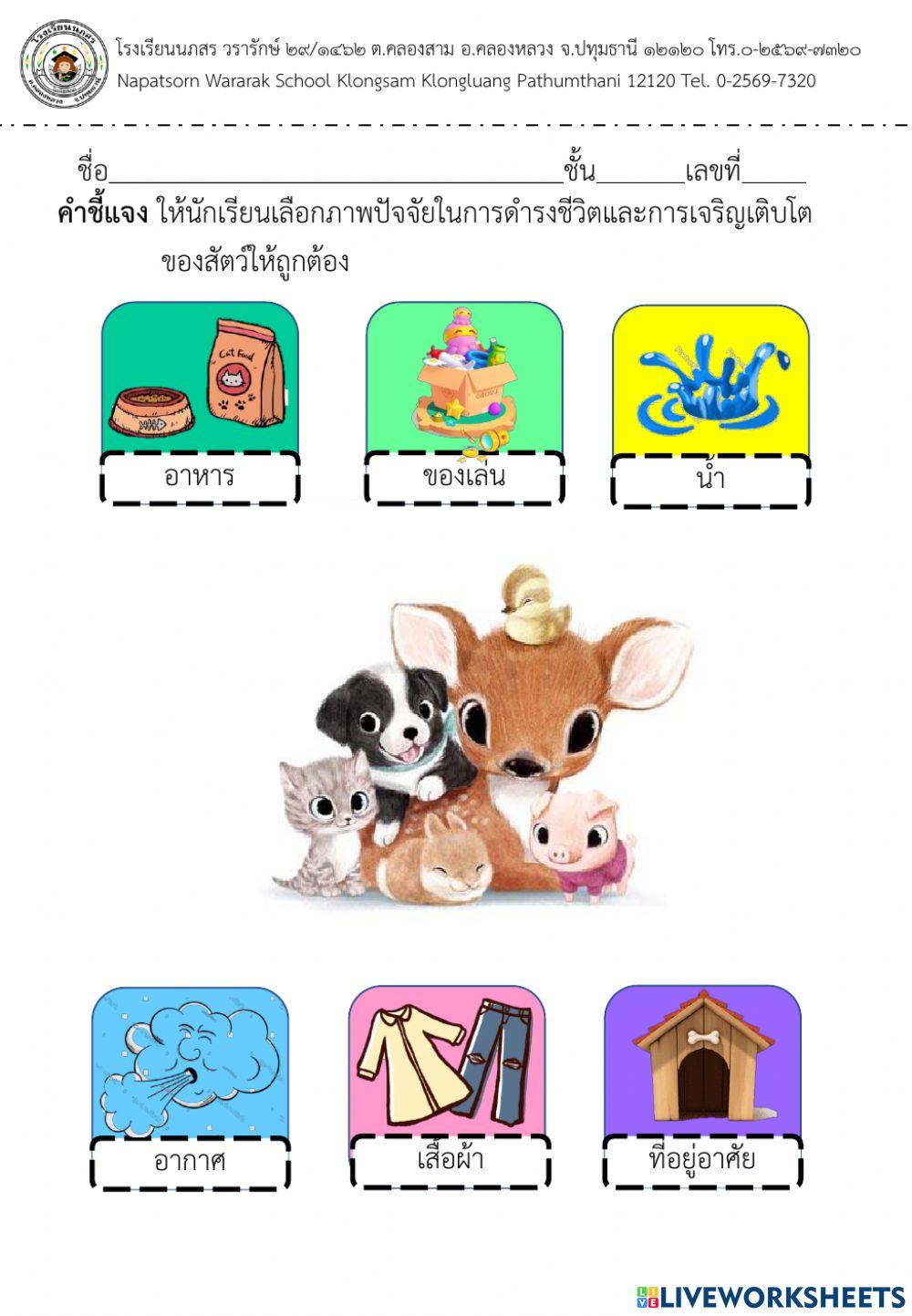 ชีวิตสัตว์