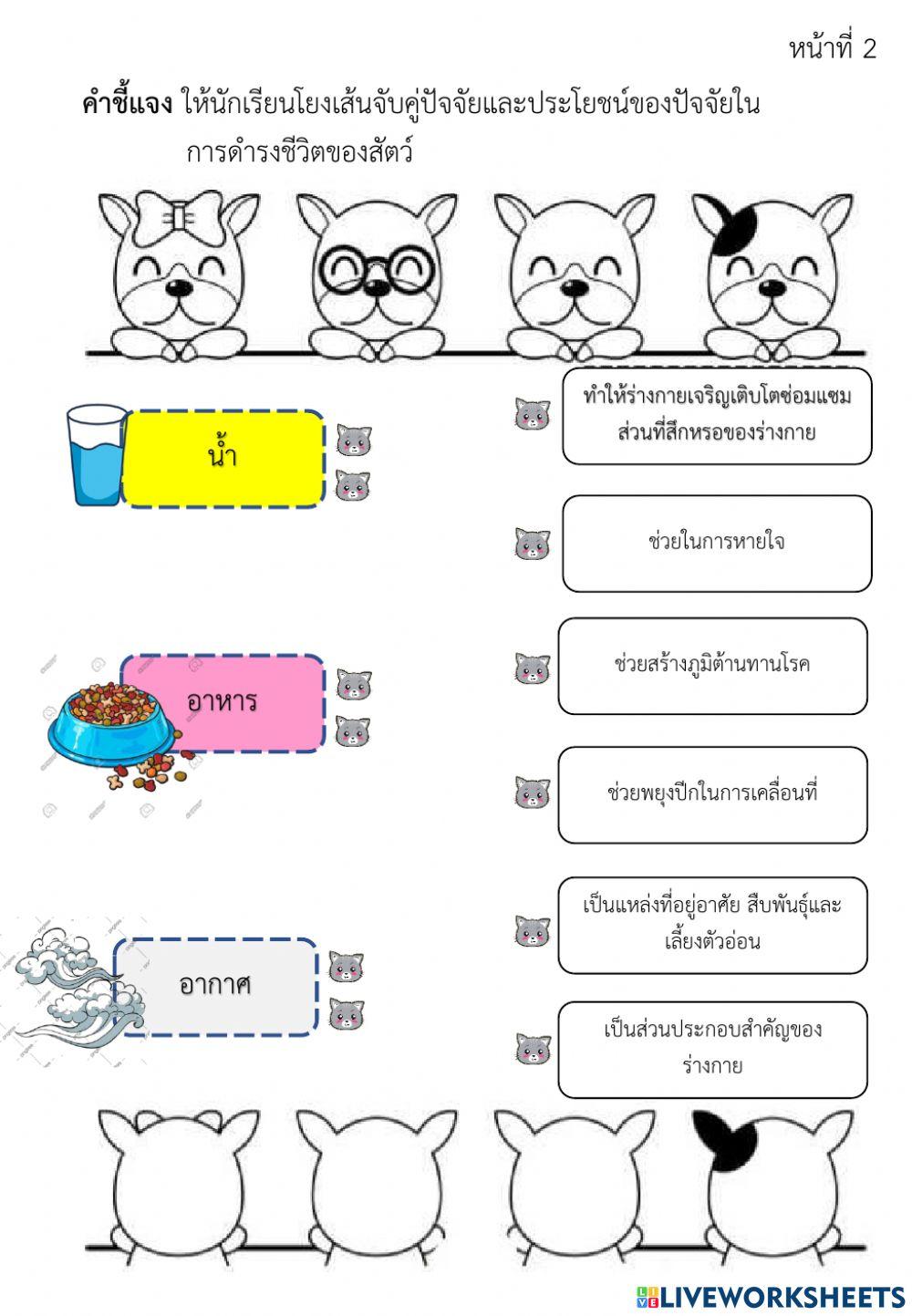 ชีวิตสัตว์