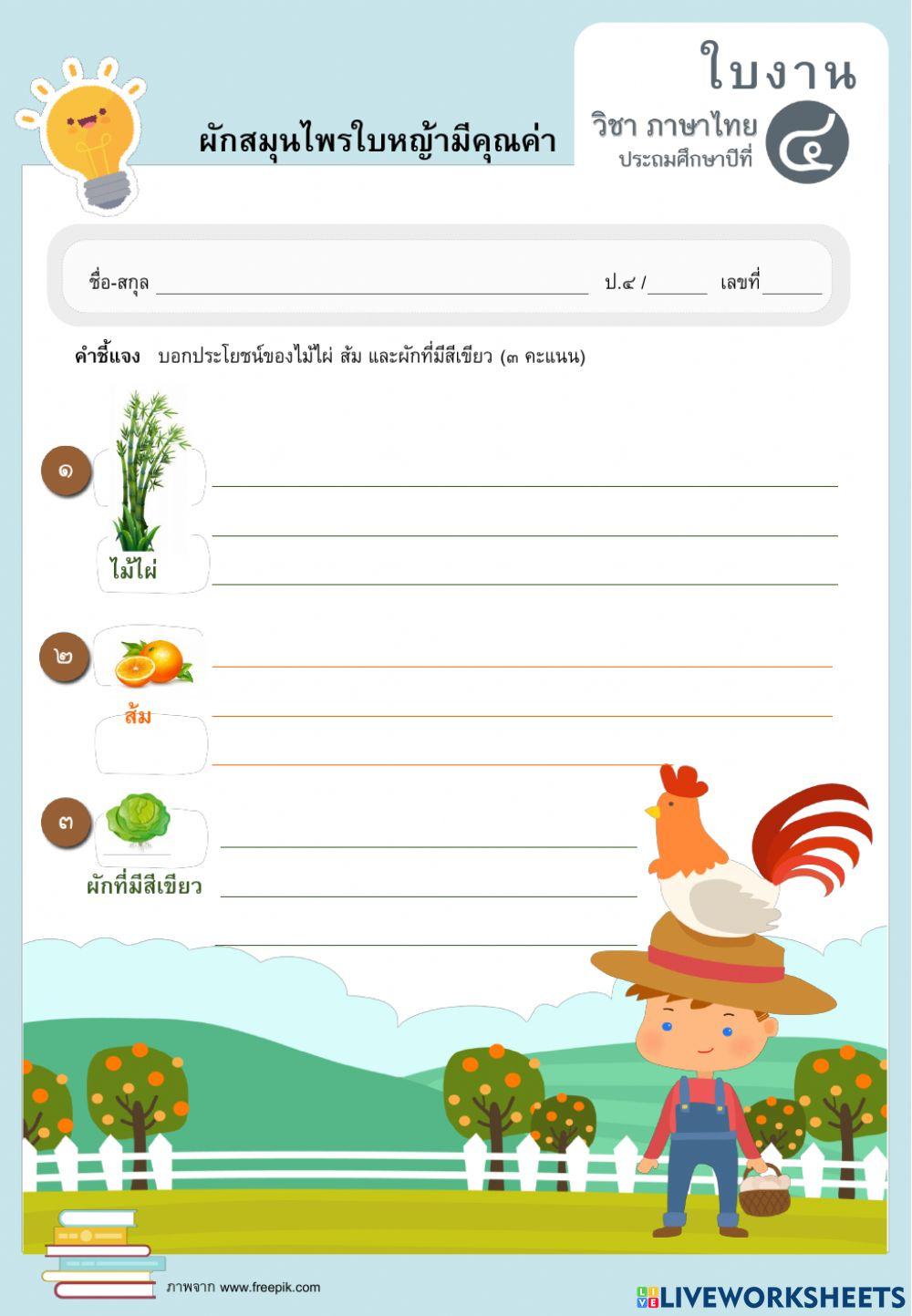 ผักสมุนไพรป.4