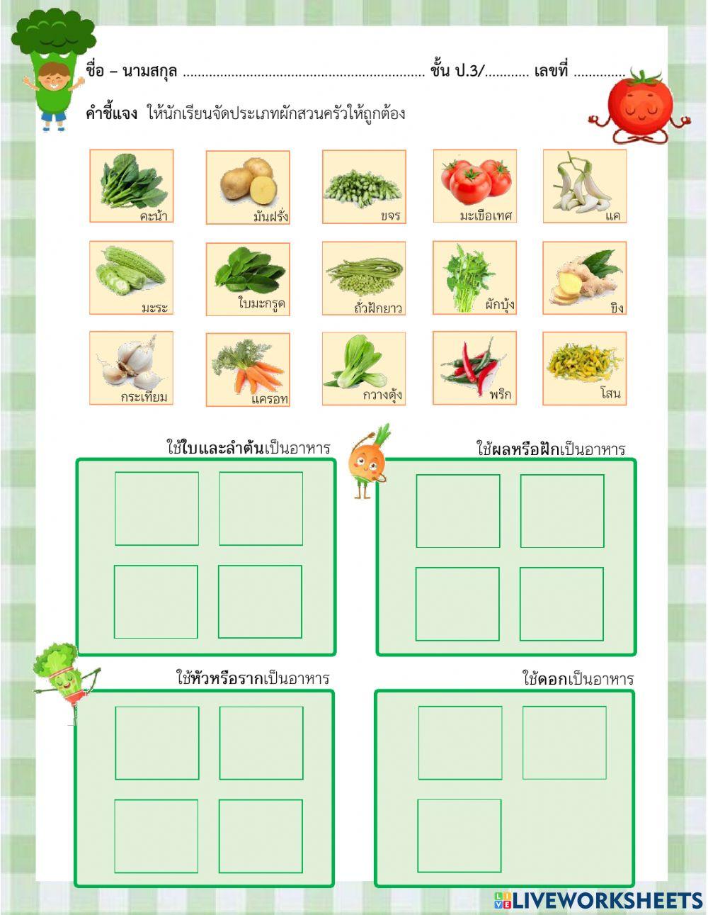 ใบงานแยกประเภทผักสวนครัว