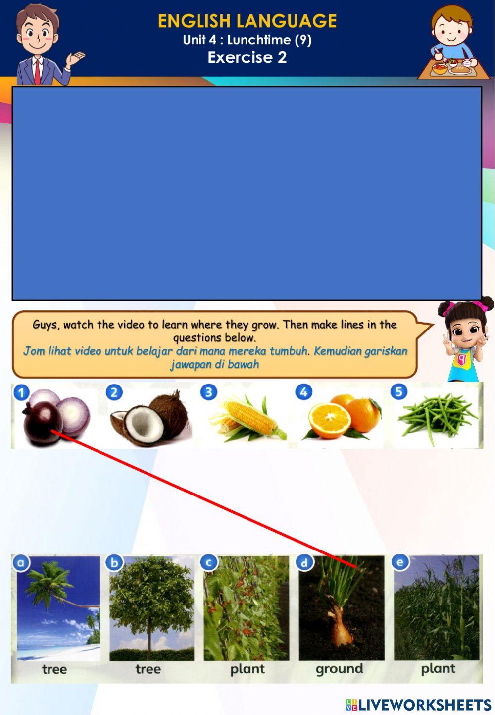 Lunchtime (9) - vegetables and fruits