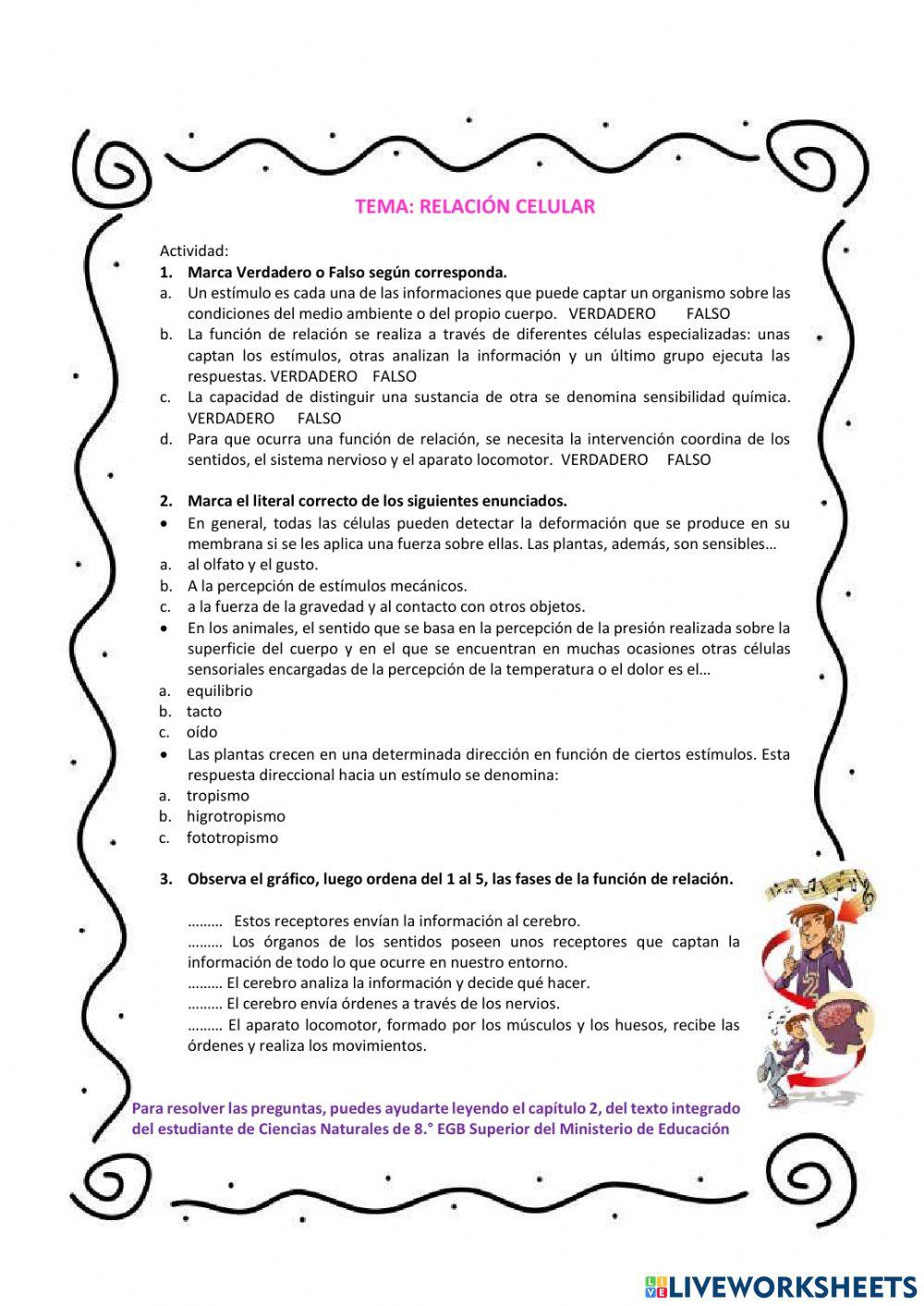 Función de relación