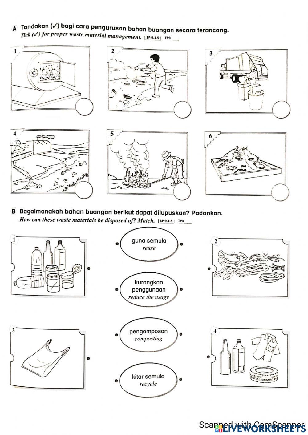 waste management year 6