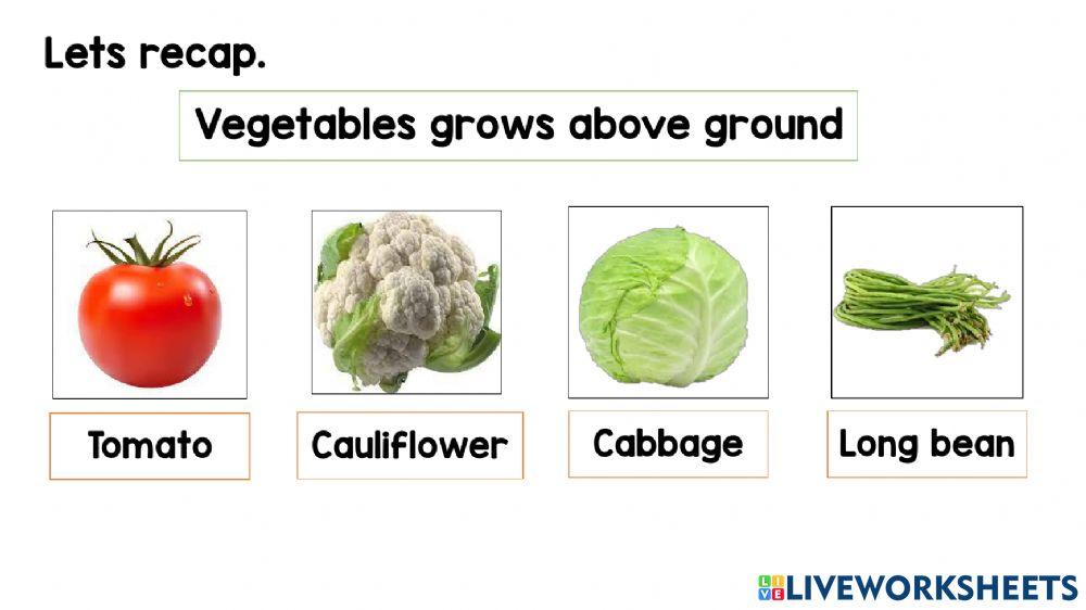 Vegetables grows above ground