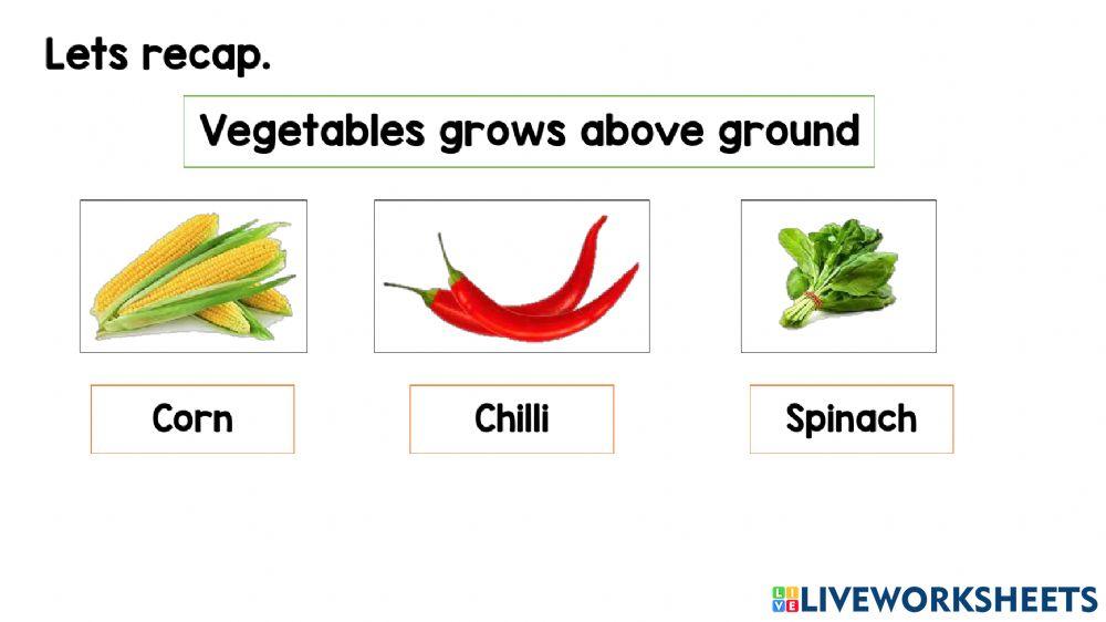 Vegetables grows above ground