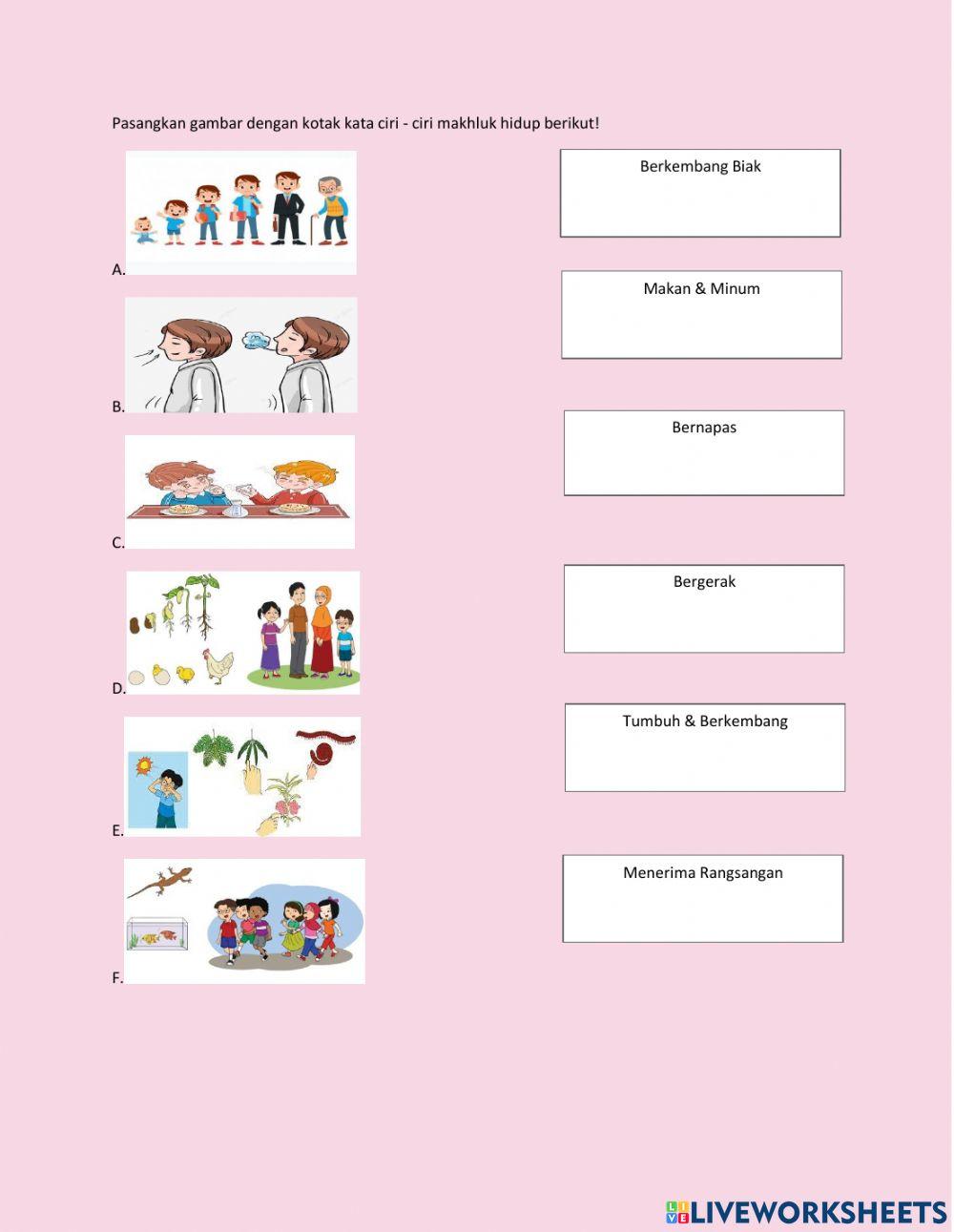 Ciri-ciri makhluk hidup