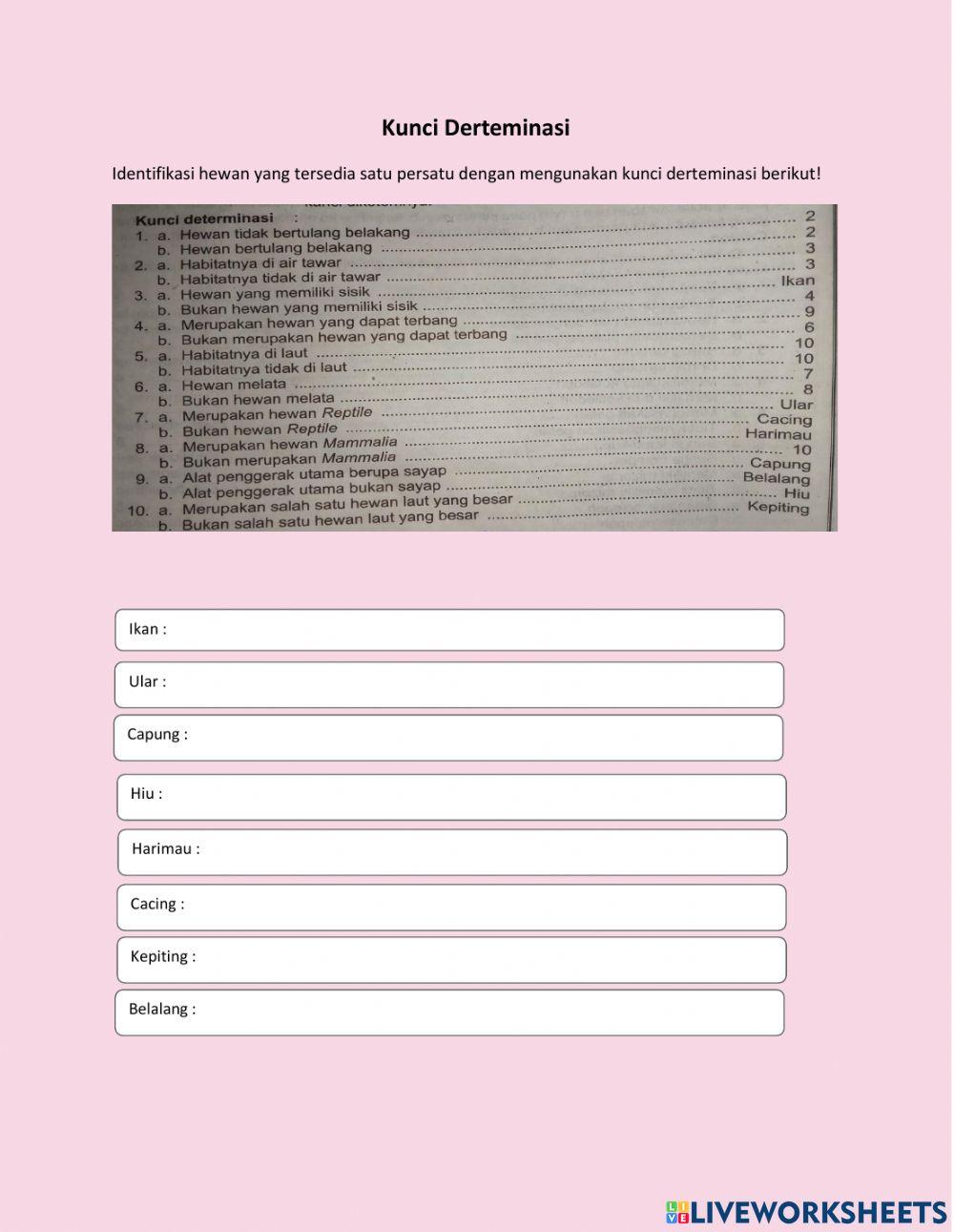 Ciri-ciri makhluk hidup