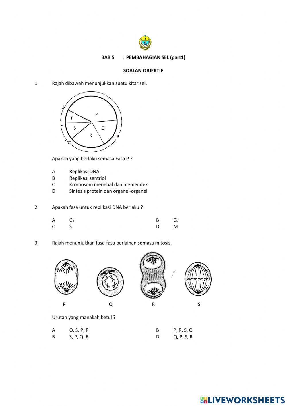 Pembahagian sel (part 1)