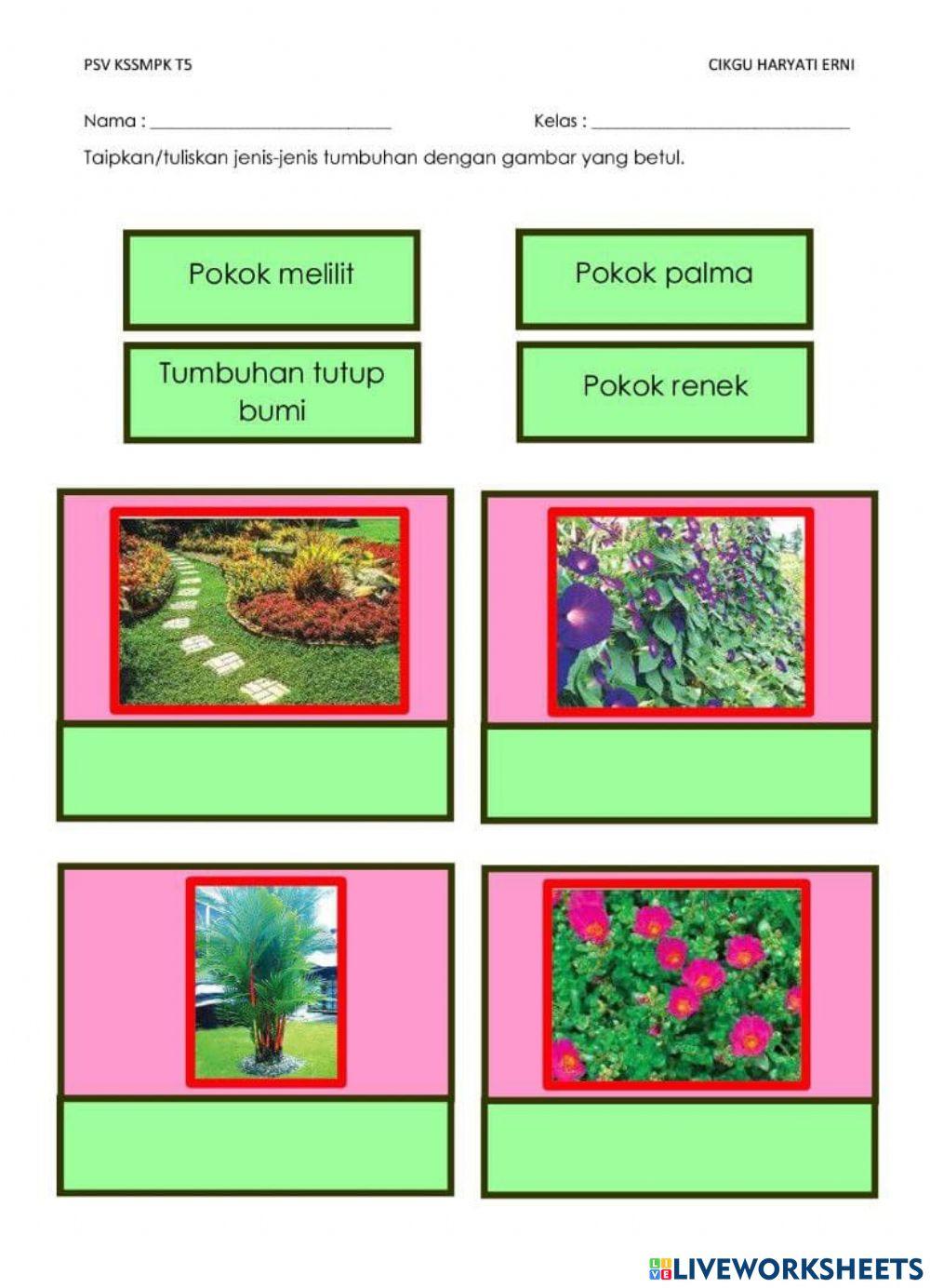 Soalan 1 Soalan 1