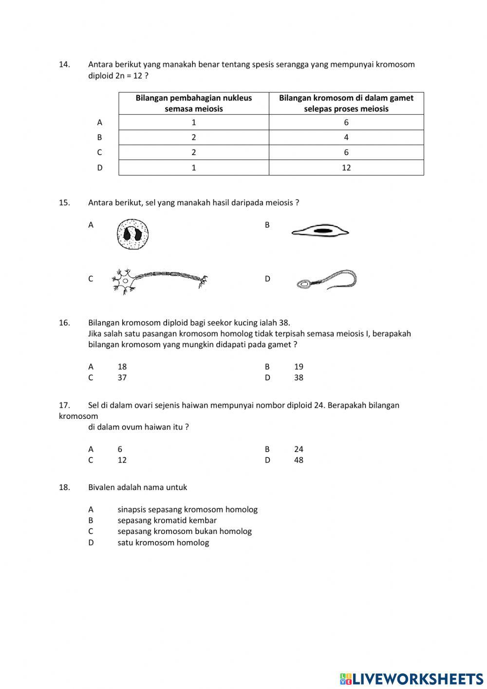 Pembahagian sel ( part 2)