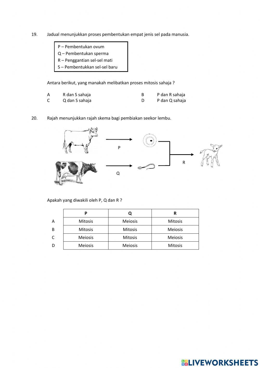Pembahagian sel ( part 2)