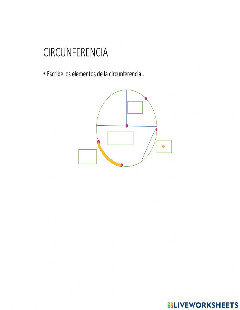 Elementos de la circunferencia