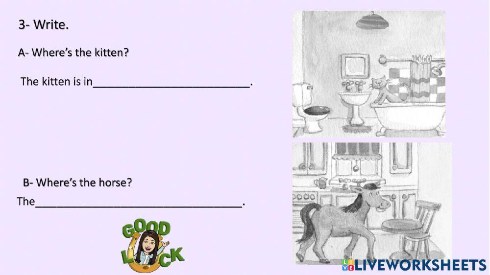 3rd grade: Reinforcement