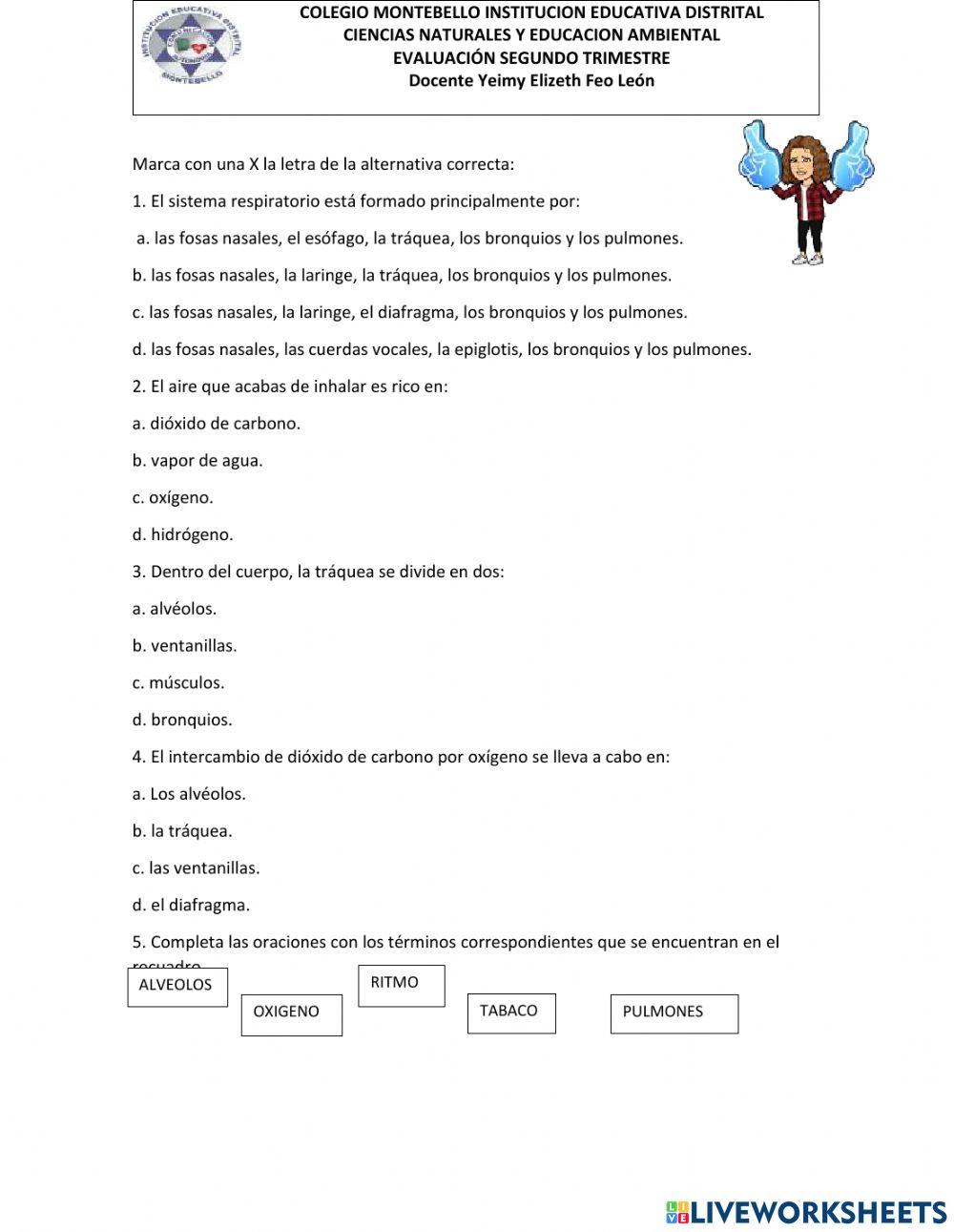 Evaluación segundo trimestre