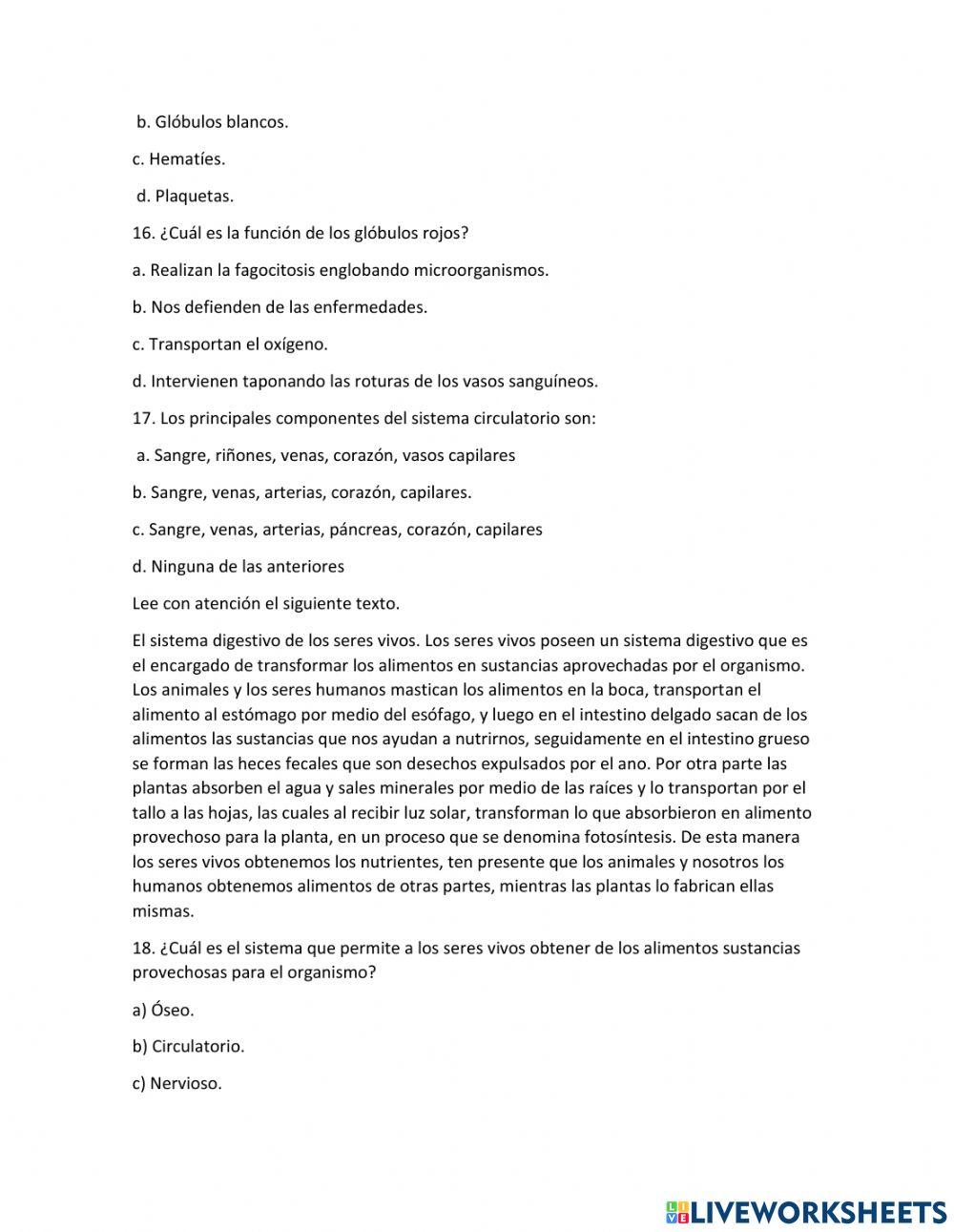 Evaluación segundo trimestre