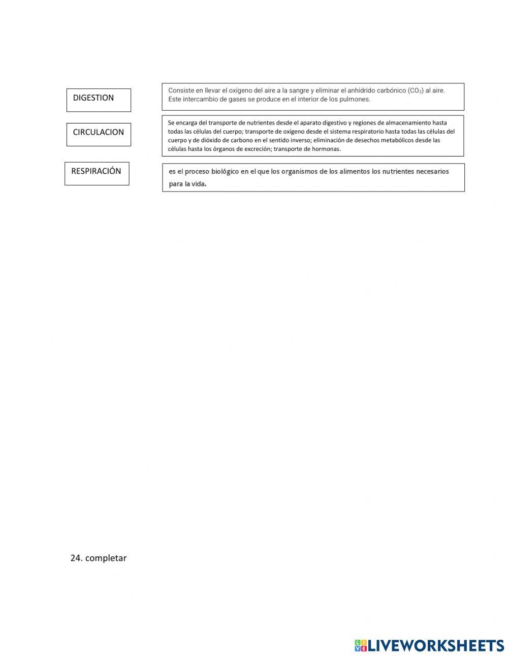 Evaluación segundo trimestre