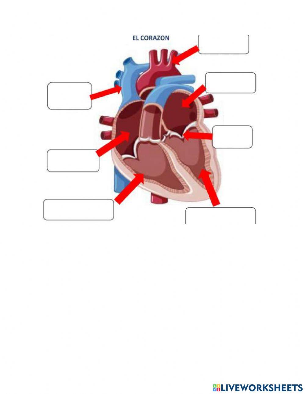 Evaluación segundo trimestre