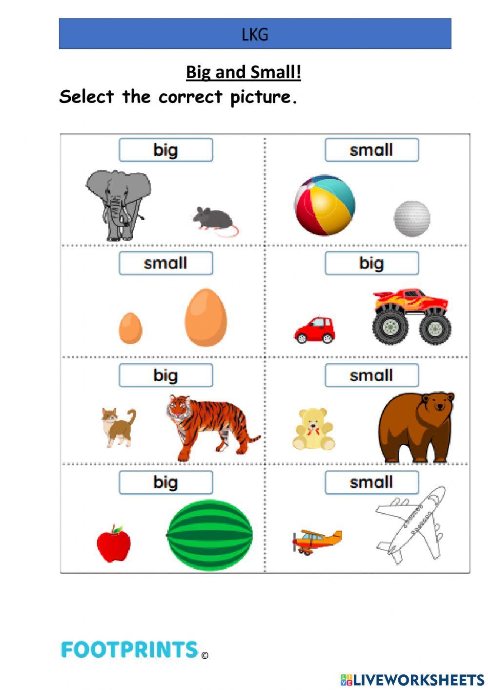 lkg-big-and-small-online-exercise-for-live-worksheets